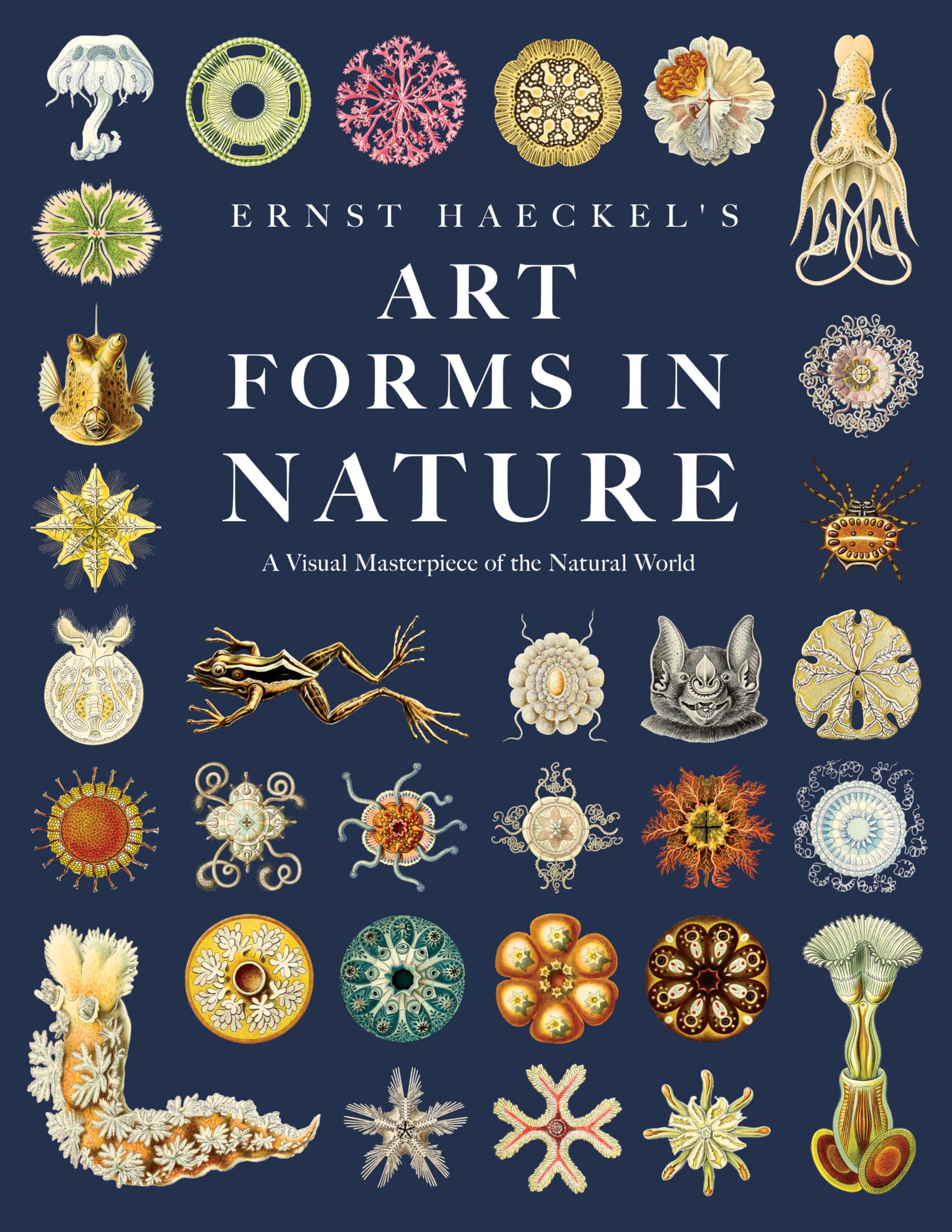 Ernst Haeckel's Art Forms in Nature: A Visual Masterpiece of the Natural World Mathematics