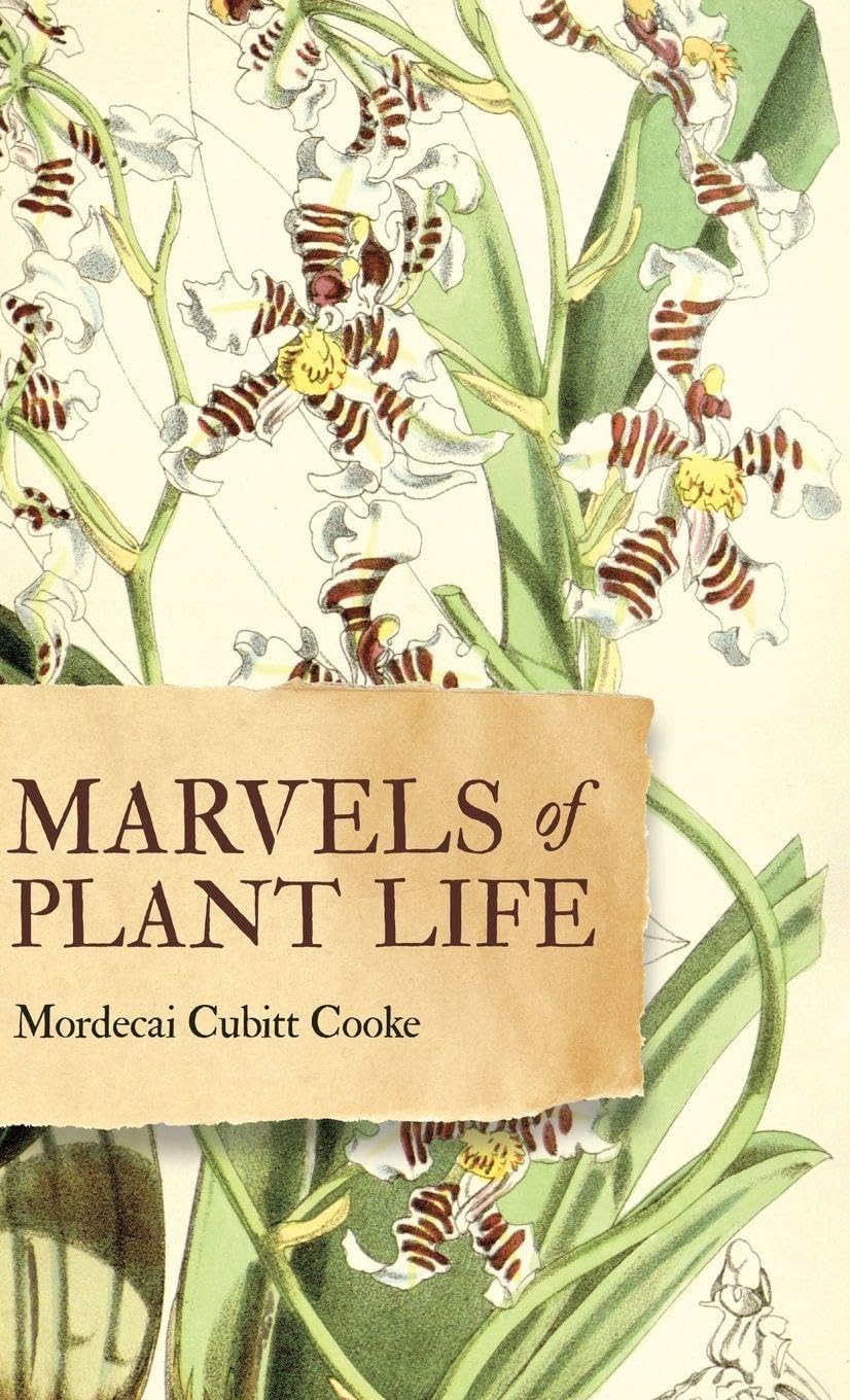 Marvels of Plant Life Mathematics