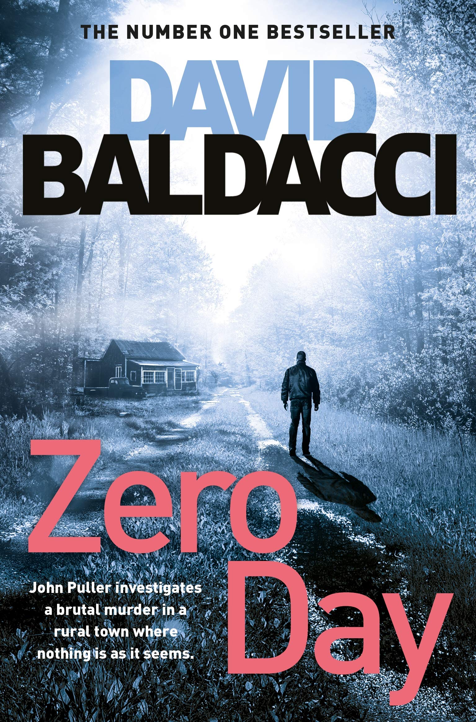 Zero Day Contemporary literature Books
