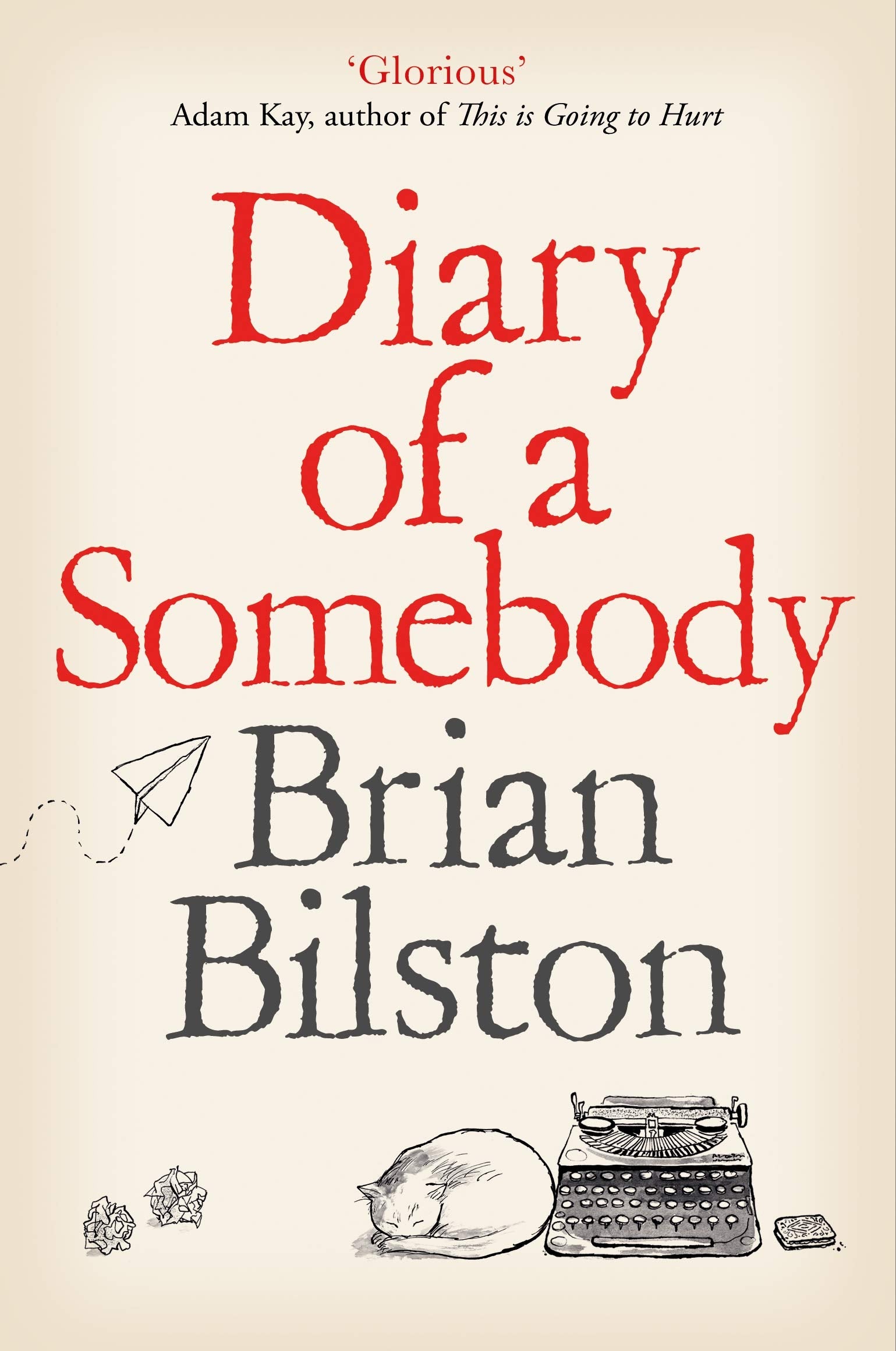 Product Image: Diary of a Somebody