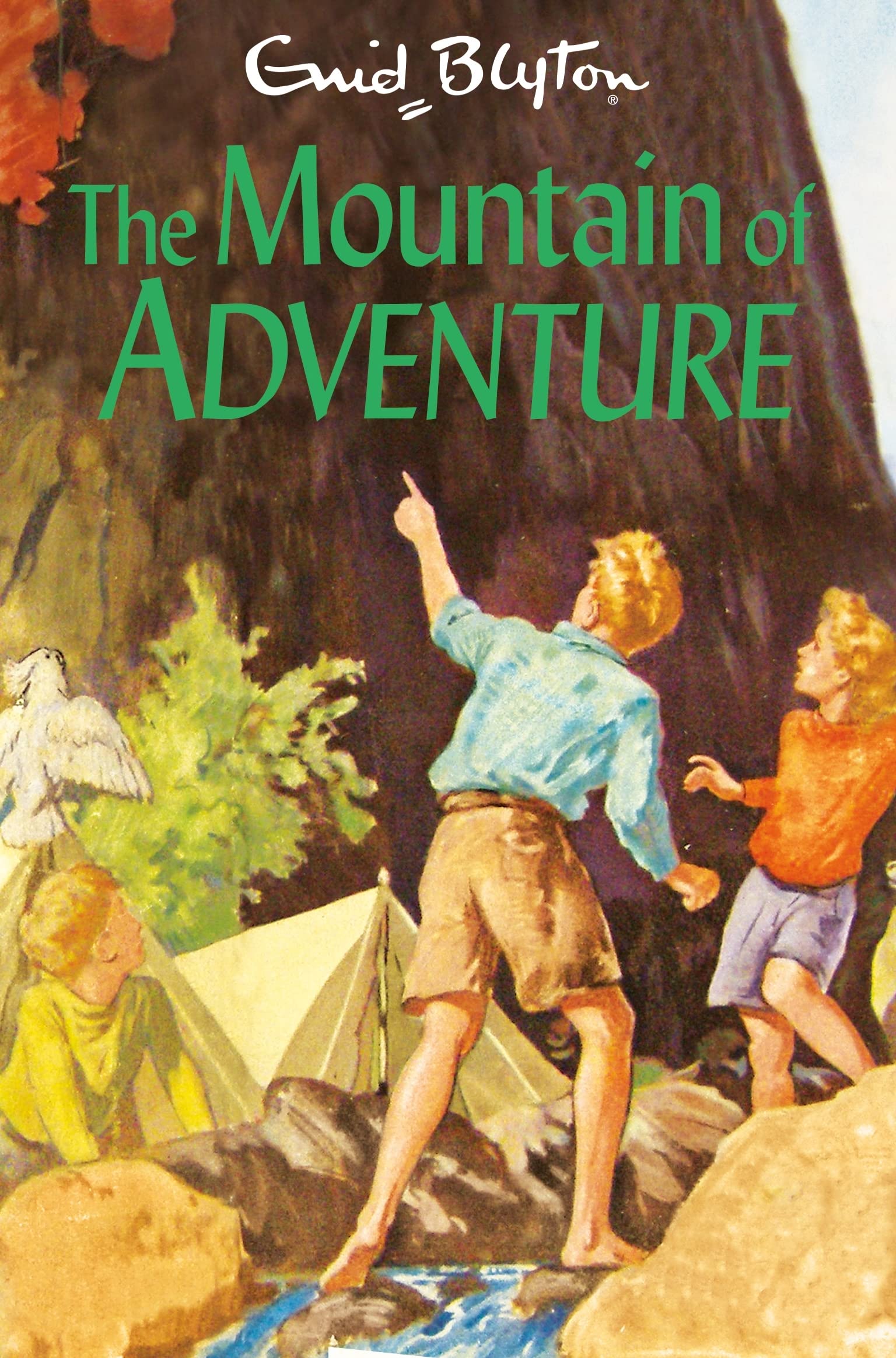 The Mountain of Adventure Non-fiction
