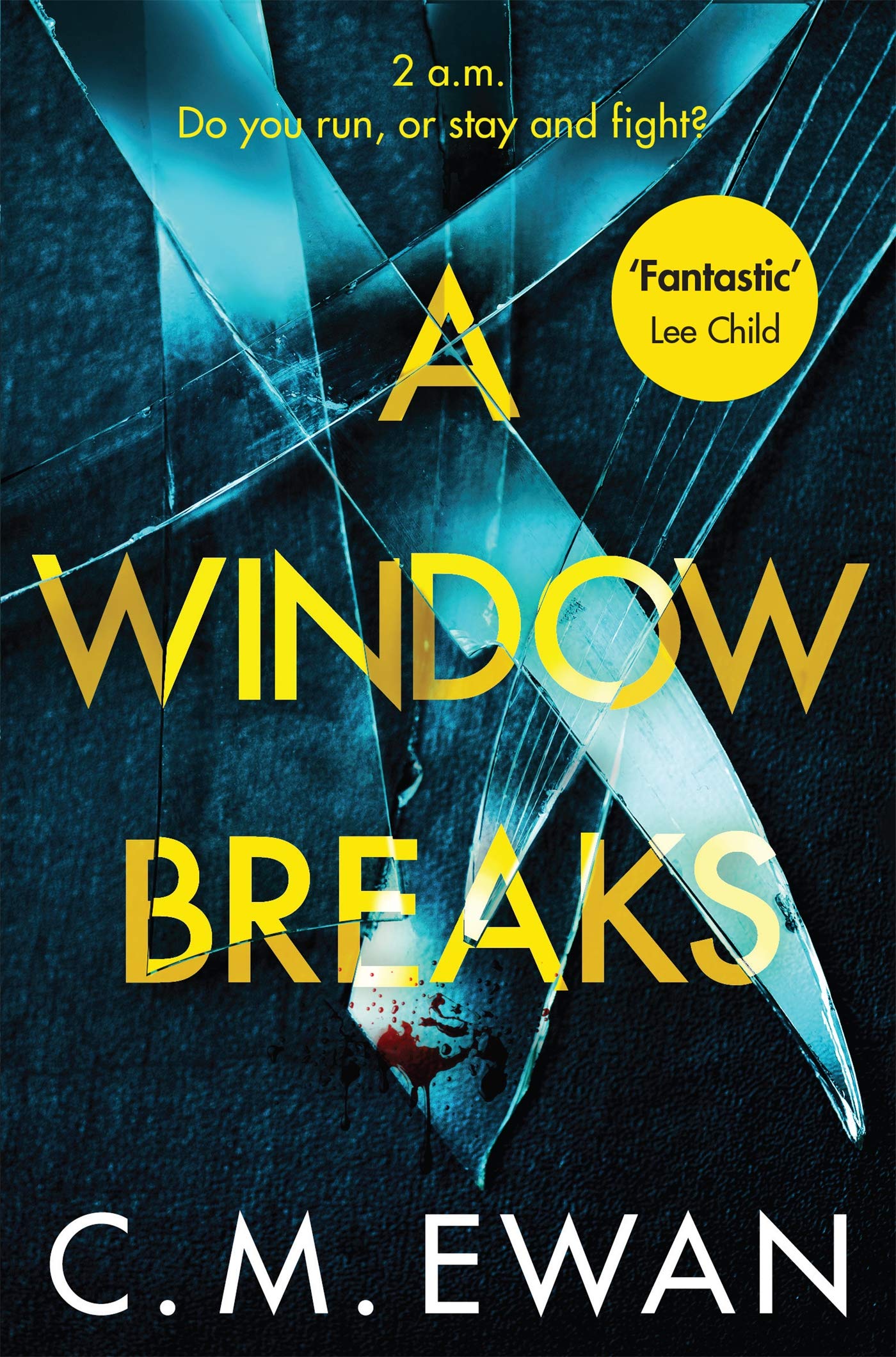 A Window Breaks: A family is pushed to breaking point in this addictive, pulse-racing, emotionally-charged thriller Contemporary literature