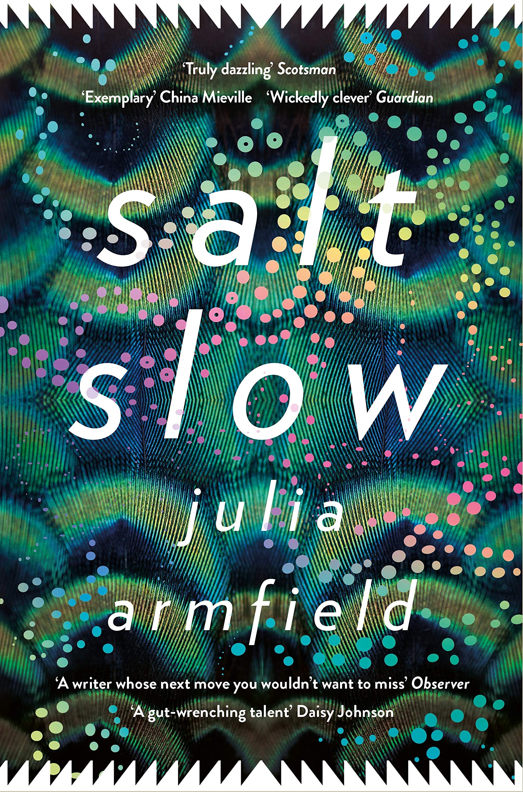 Salt Slow: From the author of Our Wives Under the Sea LGBTQ+