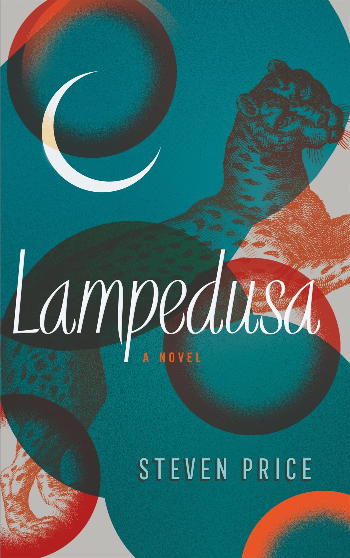Lampedusa: A Novel Contemporary literature