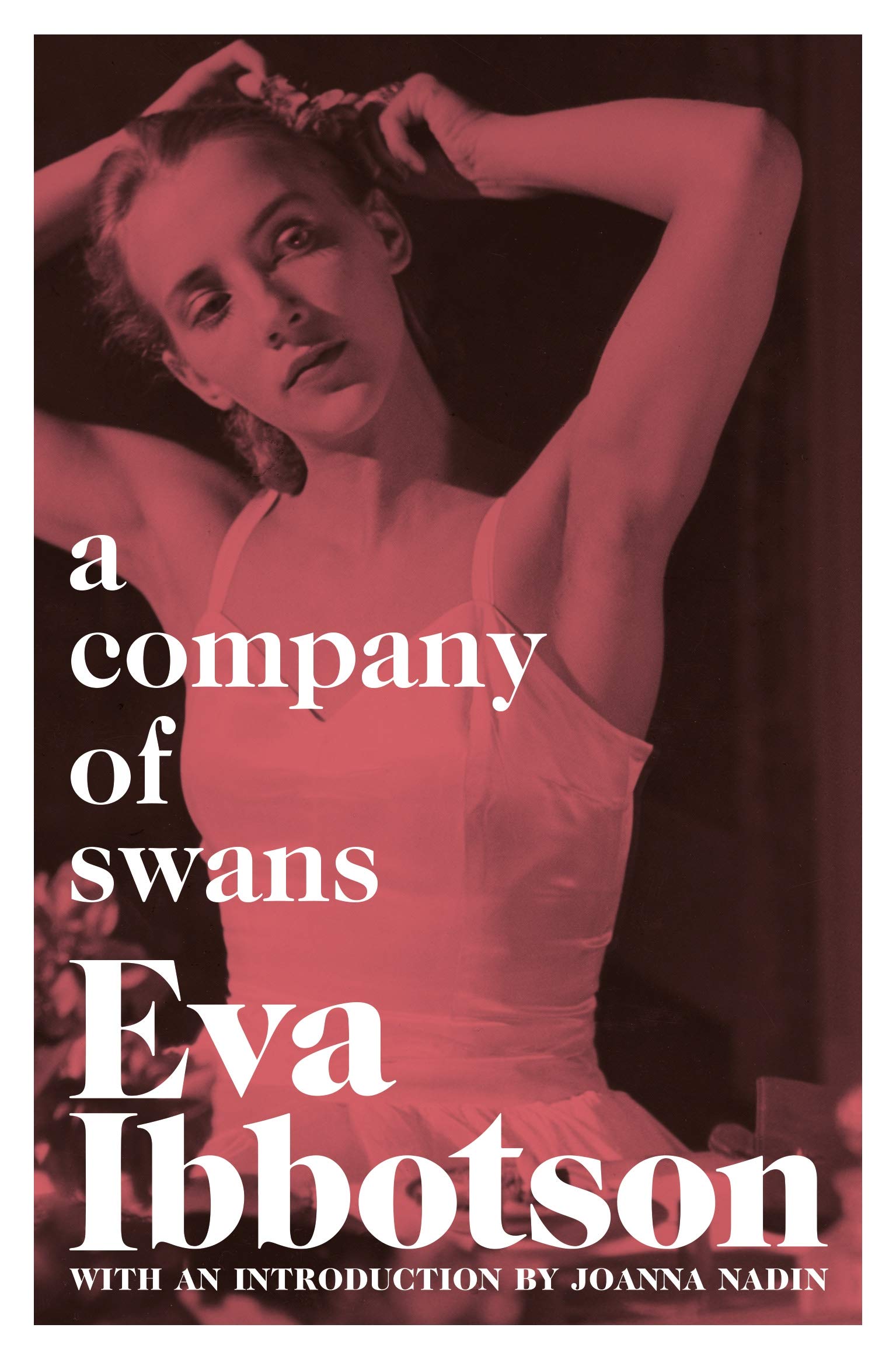 A Company of Swans Historical Fiction