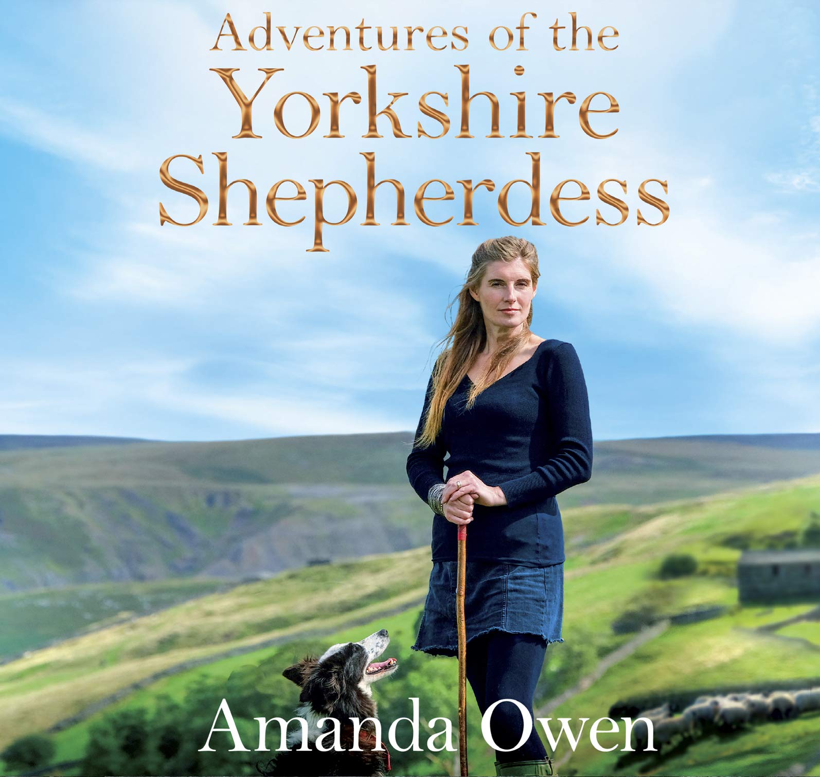 Adventures Of The Yorkshire Shepherdess Contemporary literature