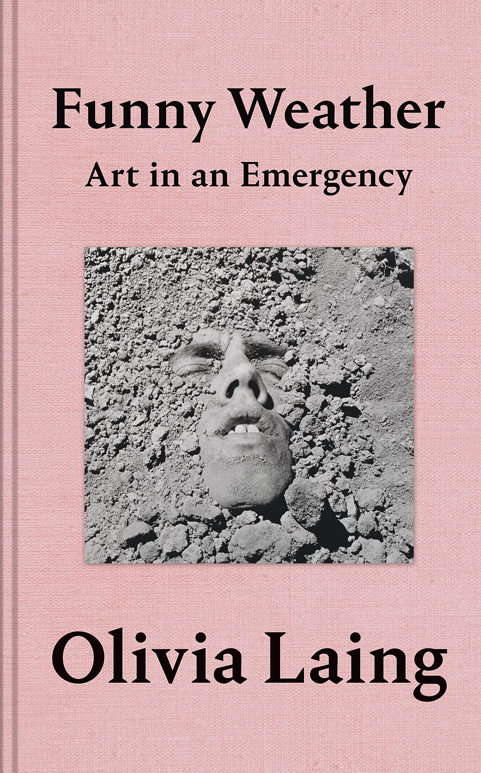 Funny Weather: Art in an Emergency Essays & Short Stories