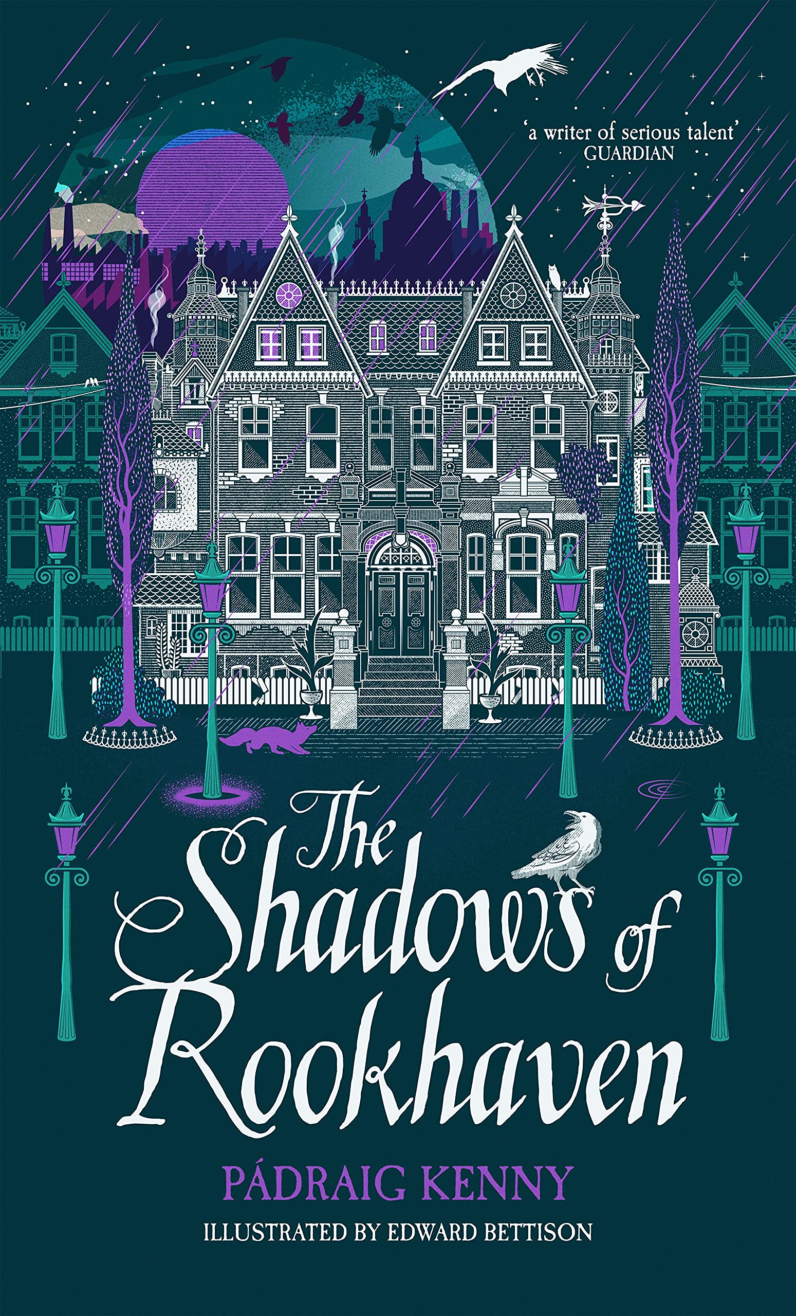 The Shadows of Rookhaven book