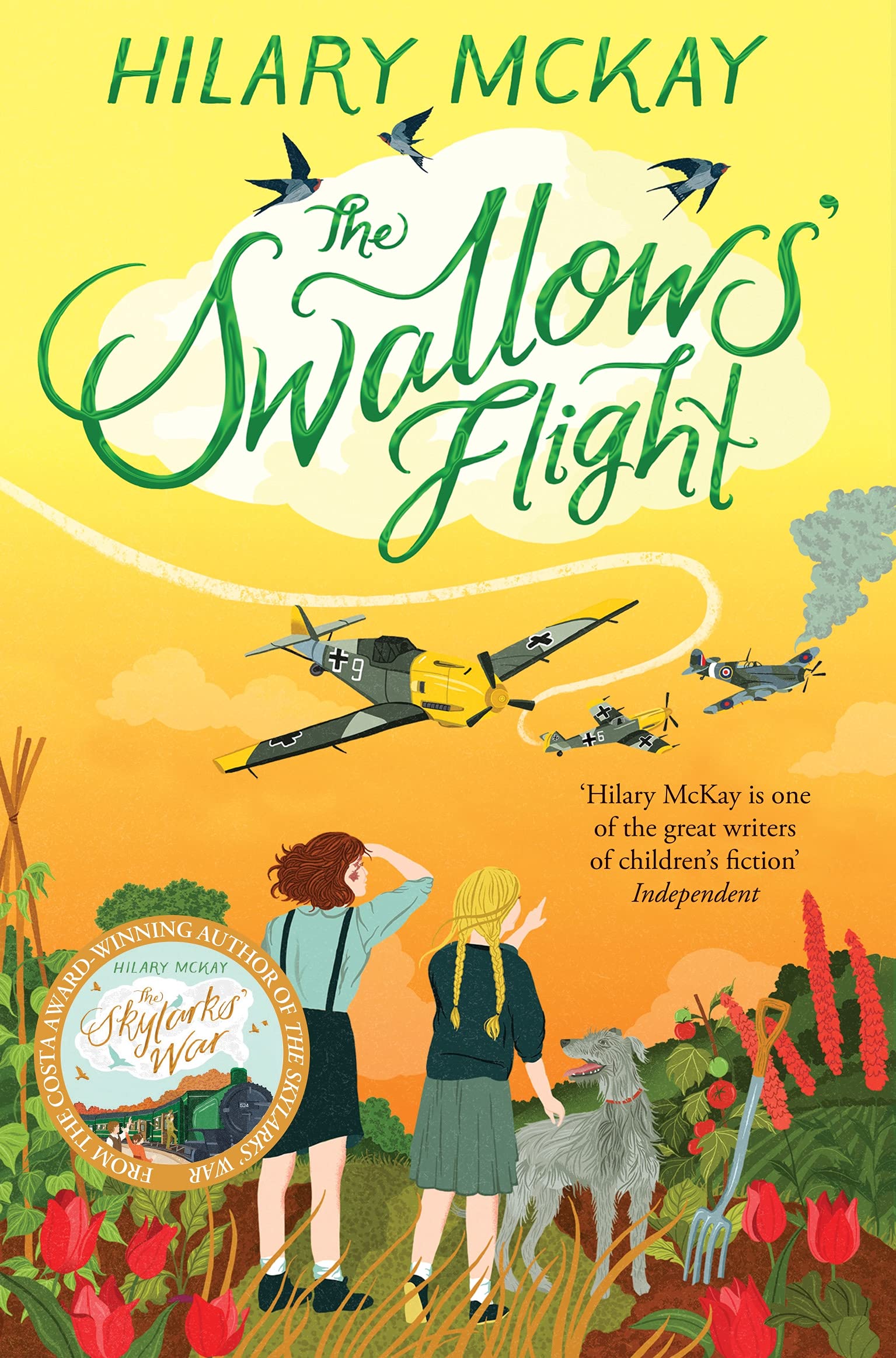 The Swallows' Flight Non-fiction books for kids