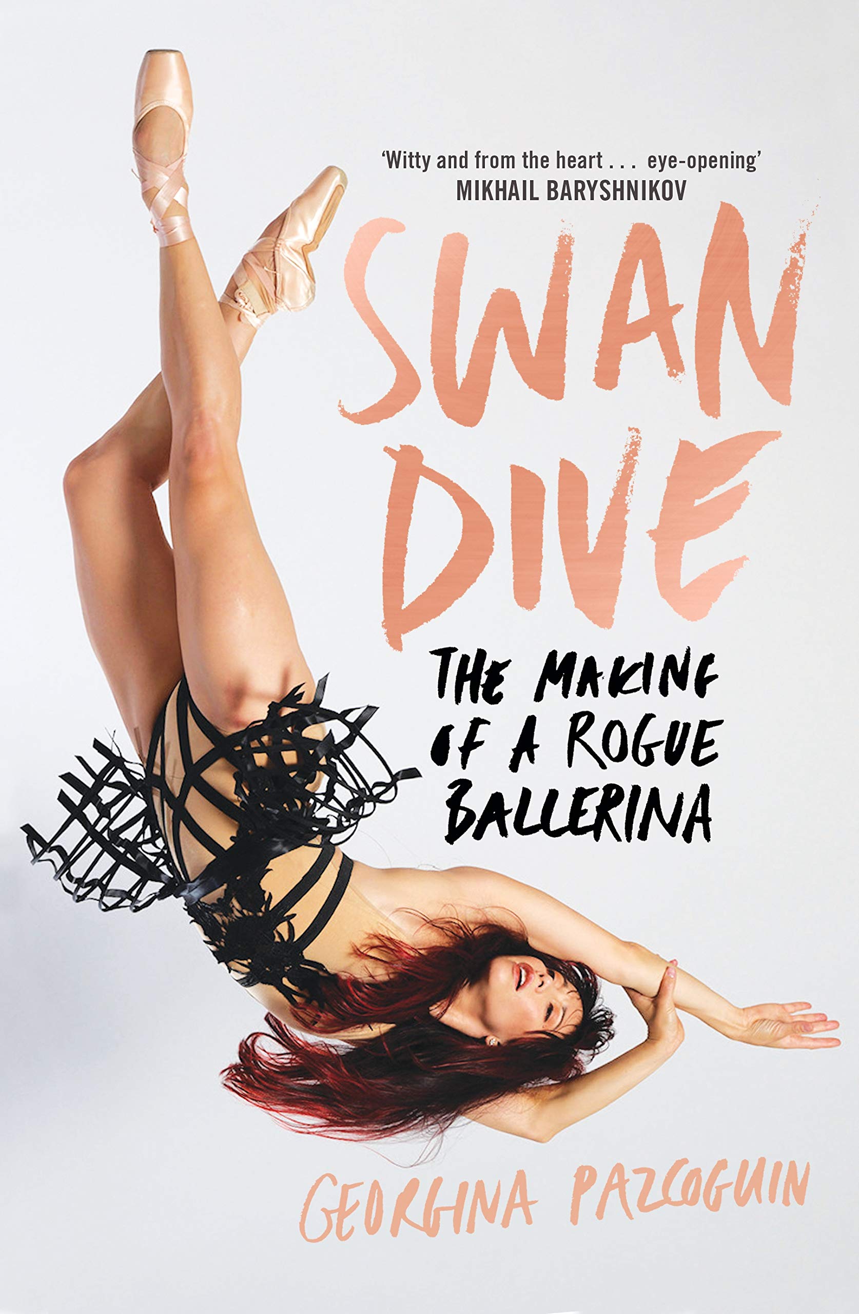 Swan Dive Art & Literature Books