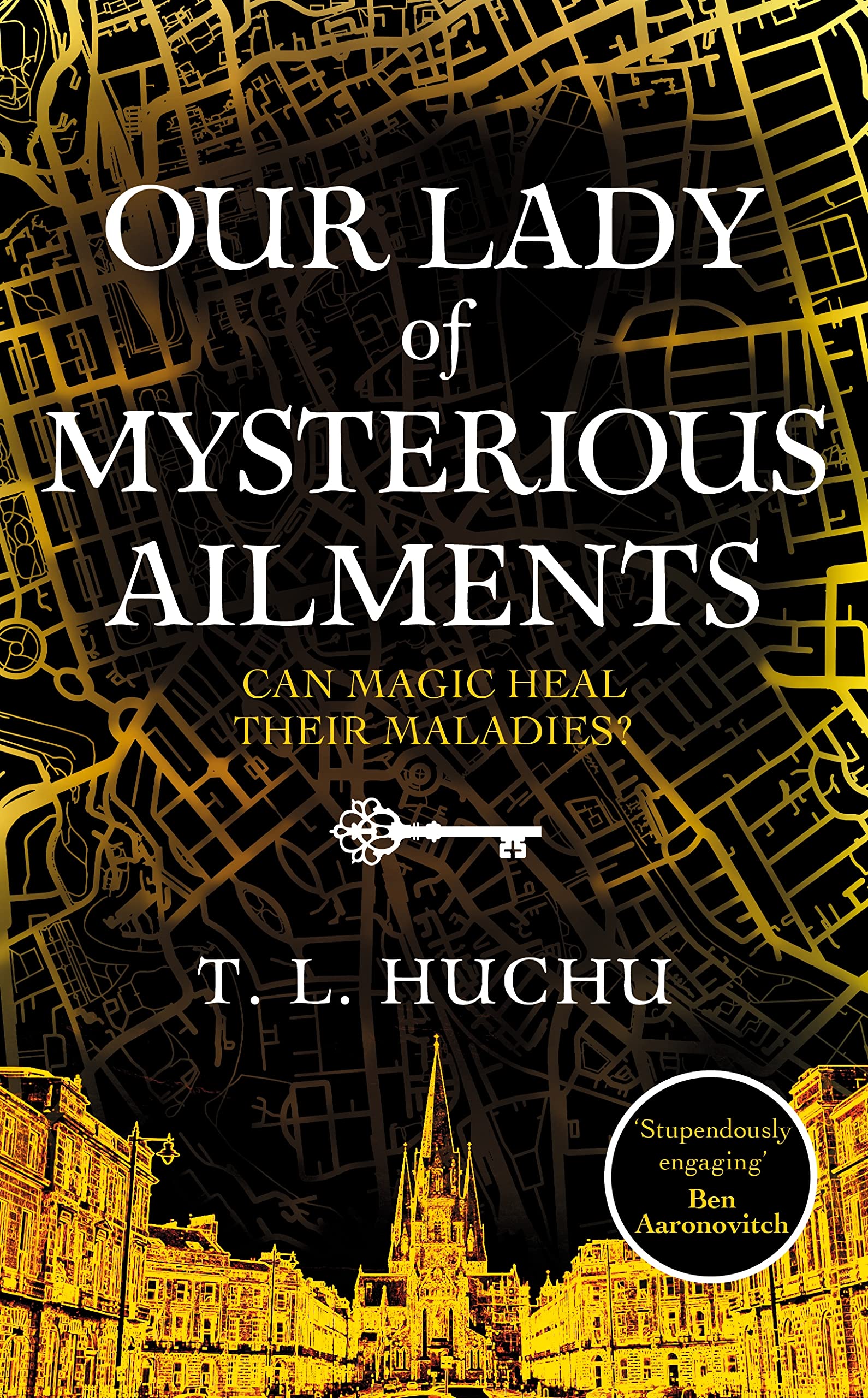 Our Lady of Mysterious Ailments book