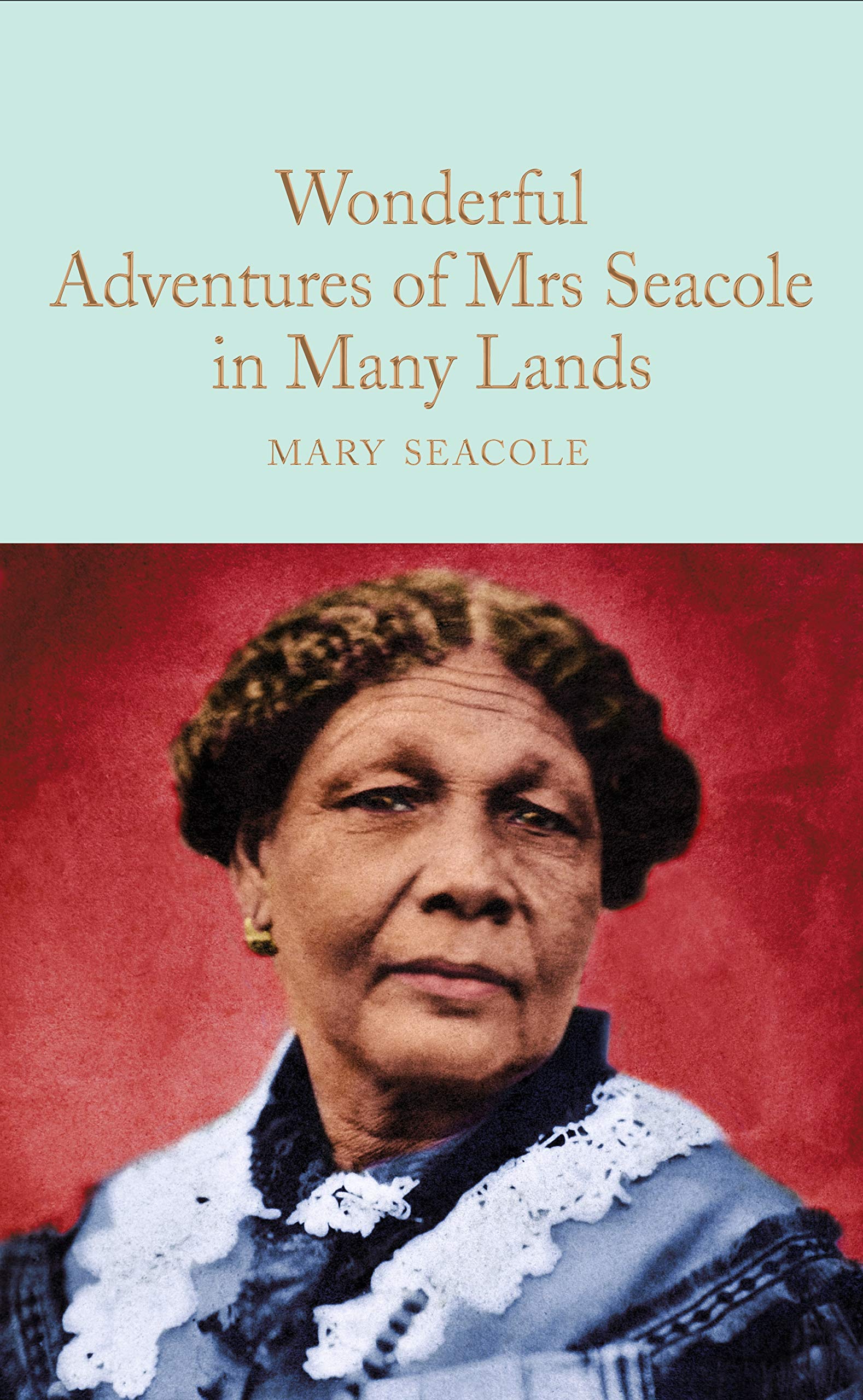 The Wonderful Adventures of Mrs Seacole in Many Lands book