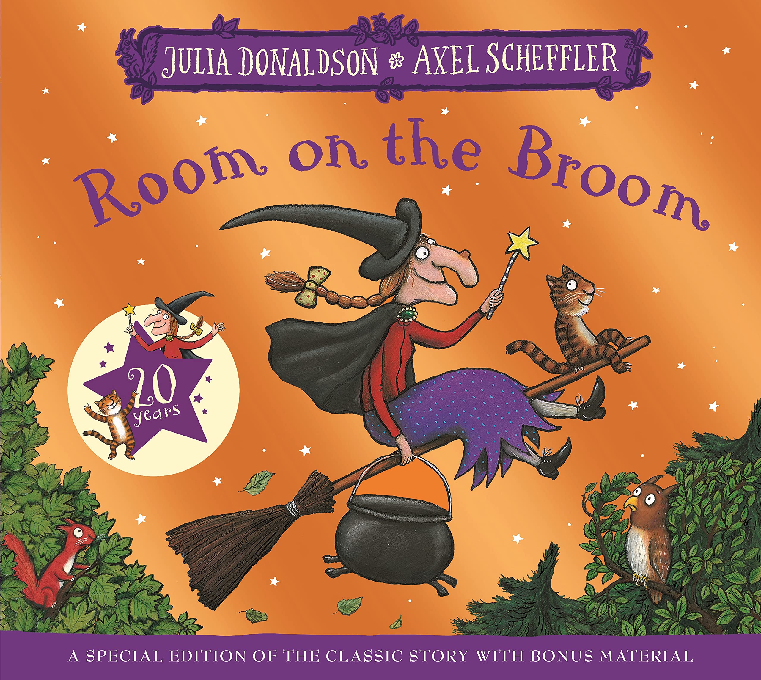 Room on the Broom 20th Anniversary Edition book