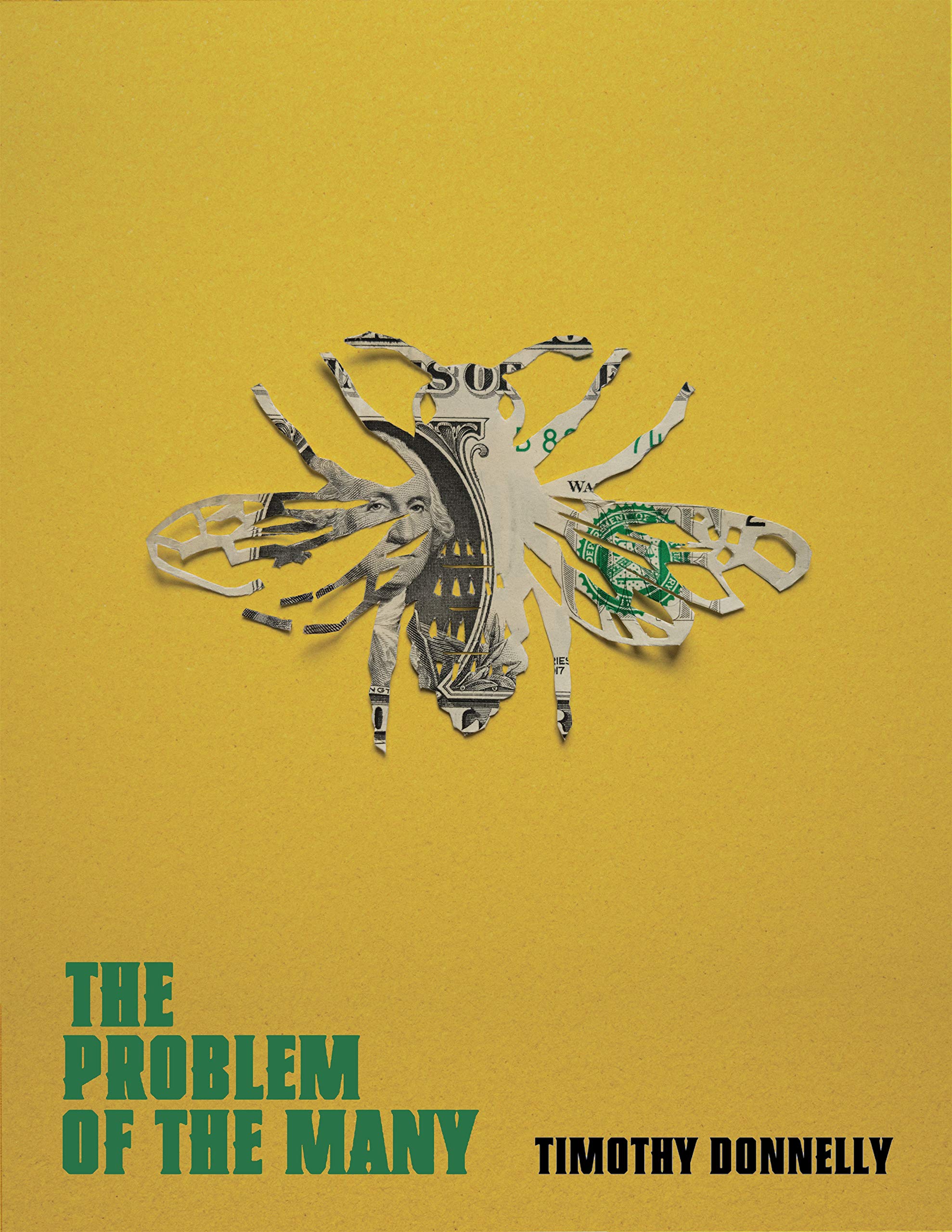 The Problem of the Many book