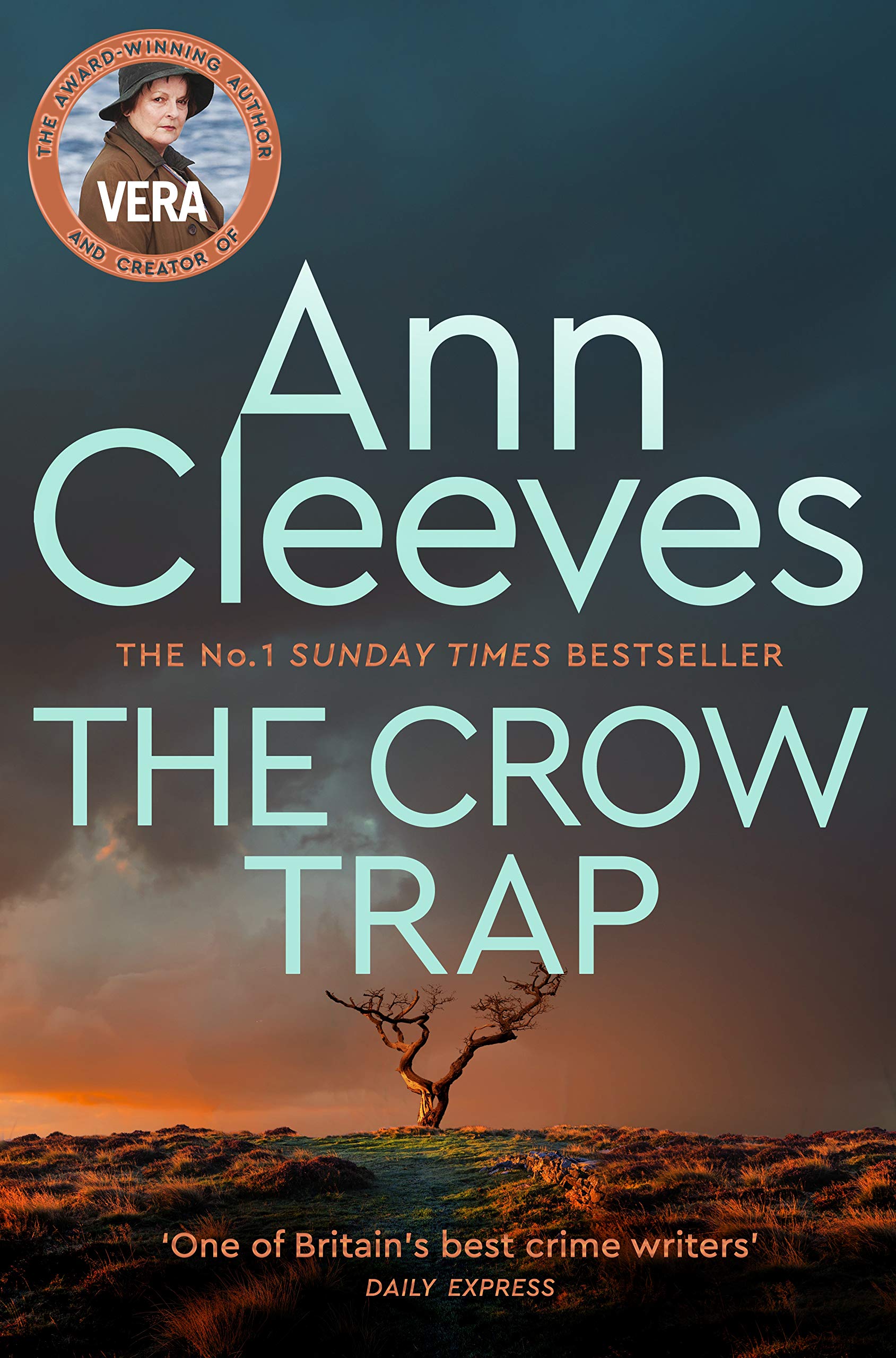 The Crow Trap Contemporary literature Books