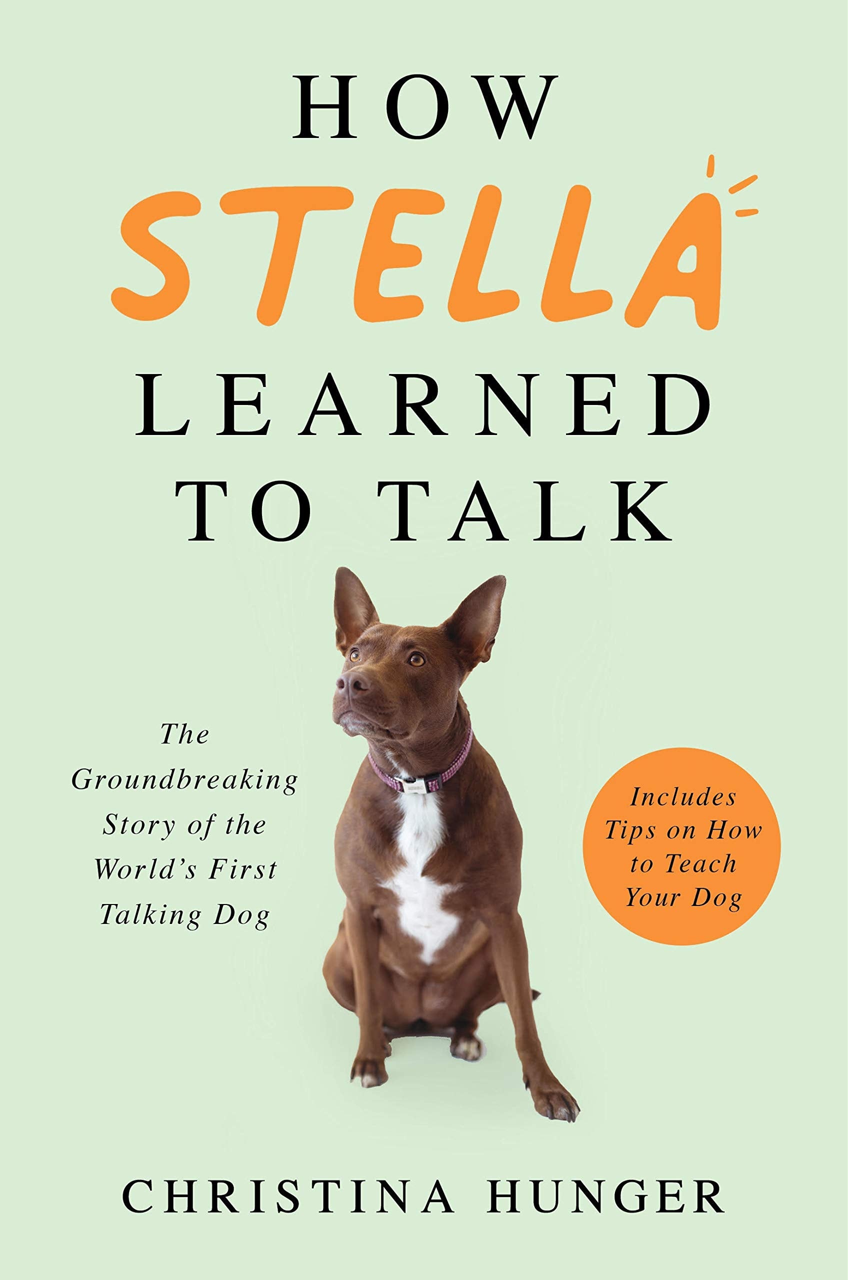 Product Image: How Stella Learned to Talk