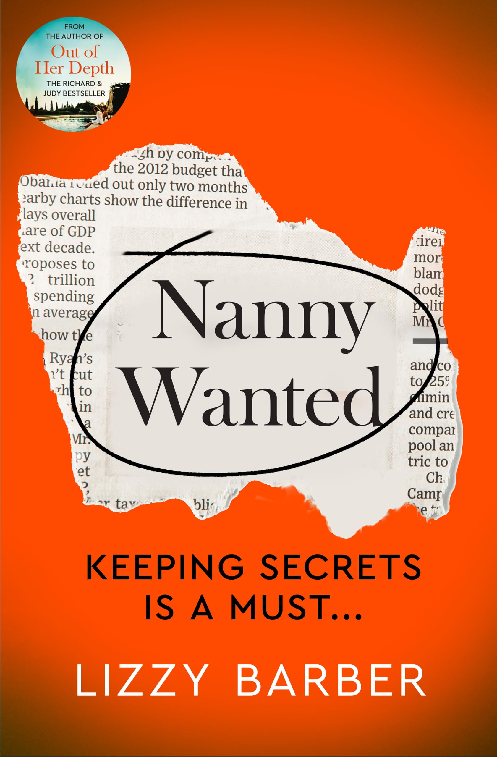 Product Image: Nanny Wanted