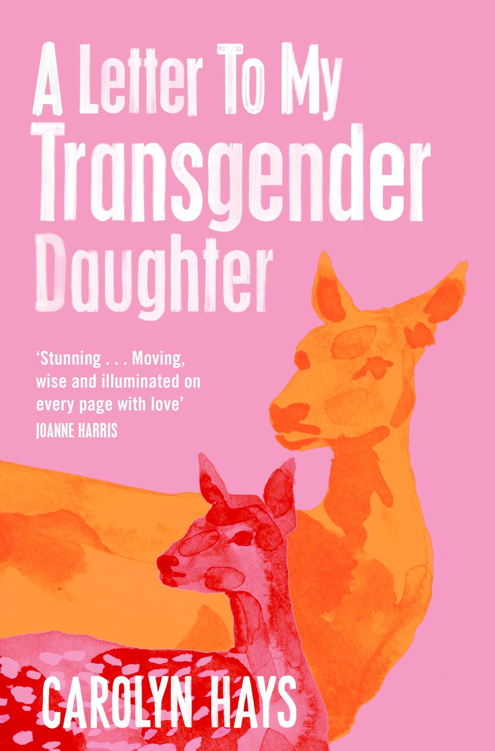 A Letter to My Transgender Daughter Law