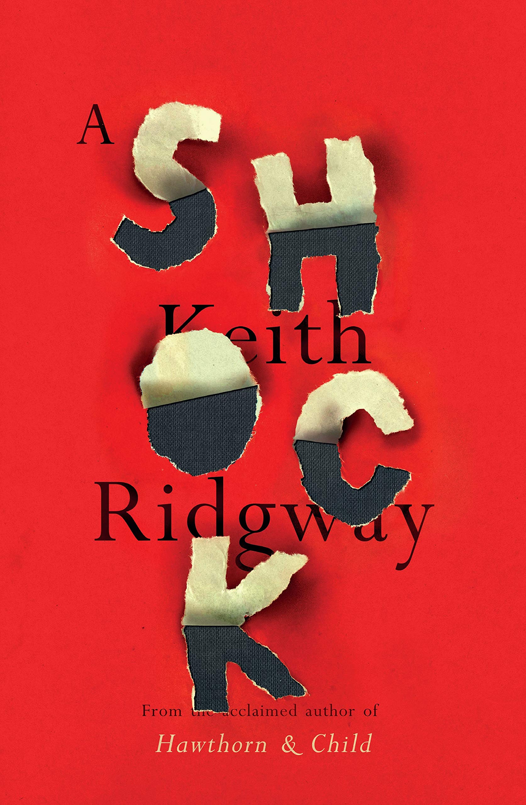 A Shock: Nominiert: The Goldsmiths Prize 2021, Nominiert: James Tait Black Prize for Fiction 2022 LGBTQ+