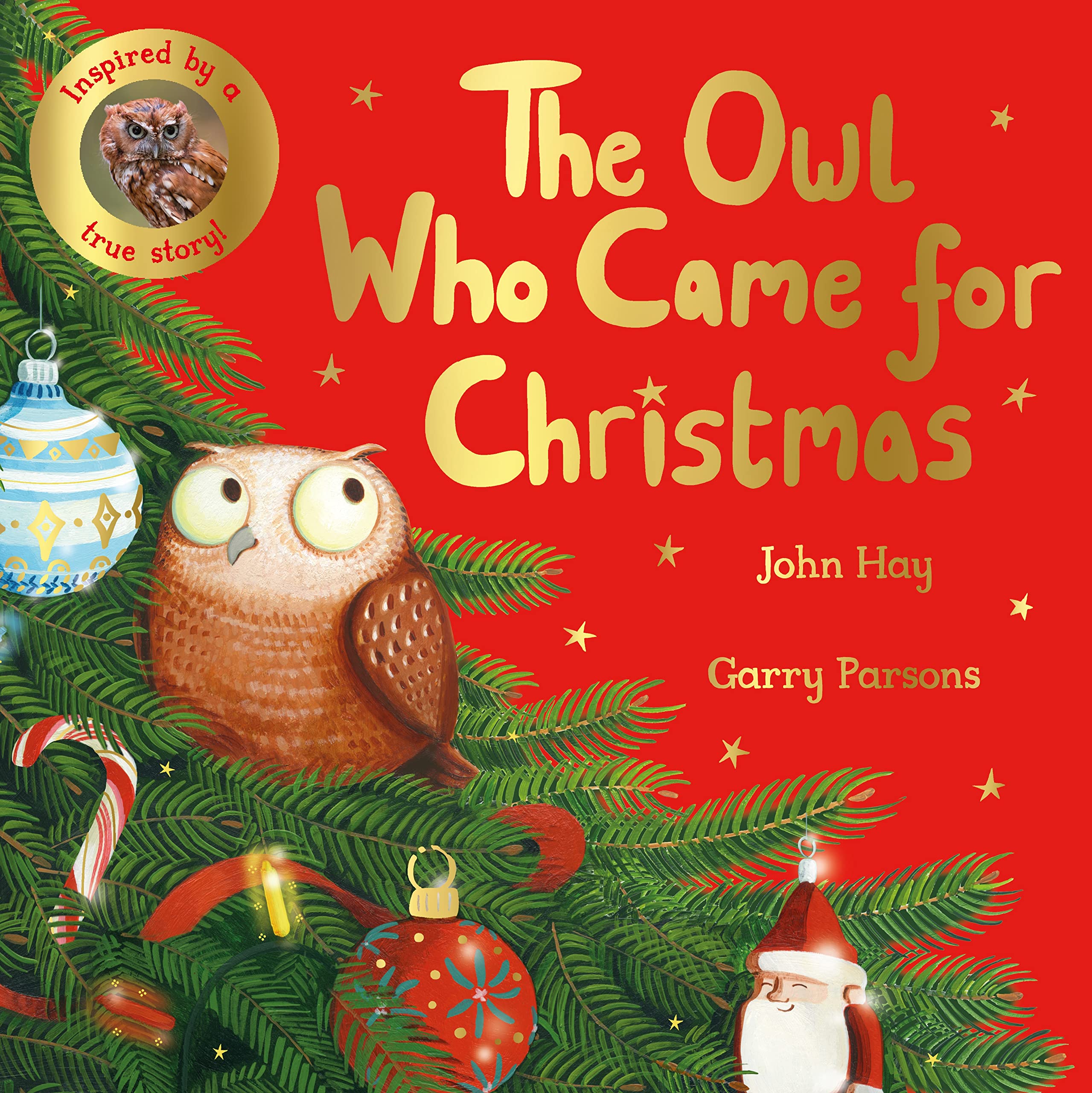 The Owl Who Came for Christmas (Amazing True Animal Stories) Non-fiction