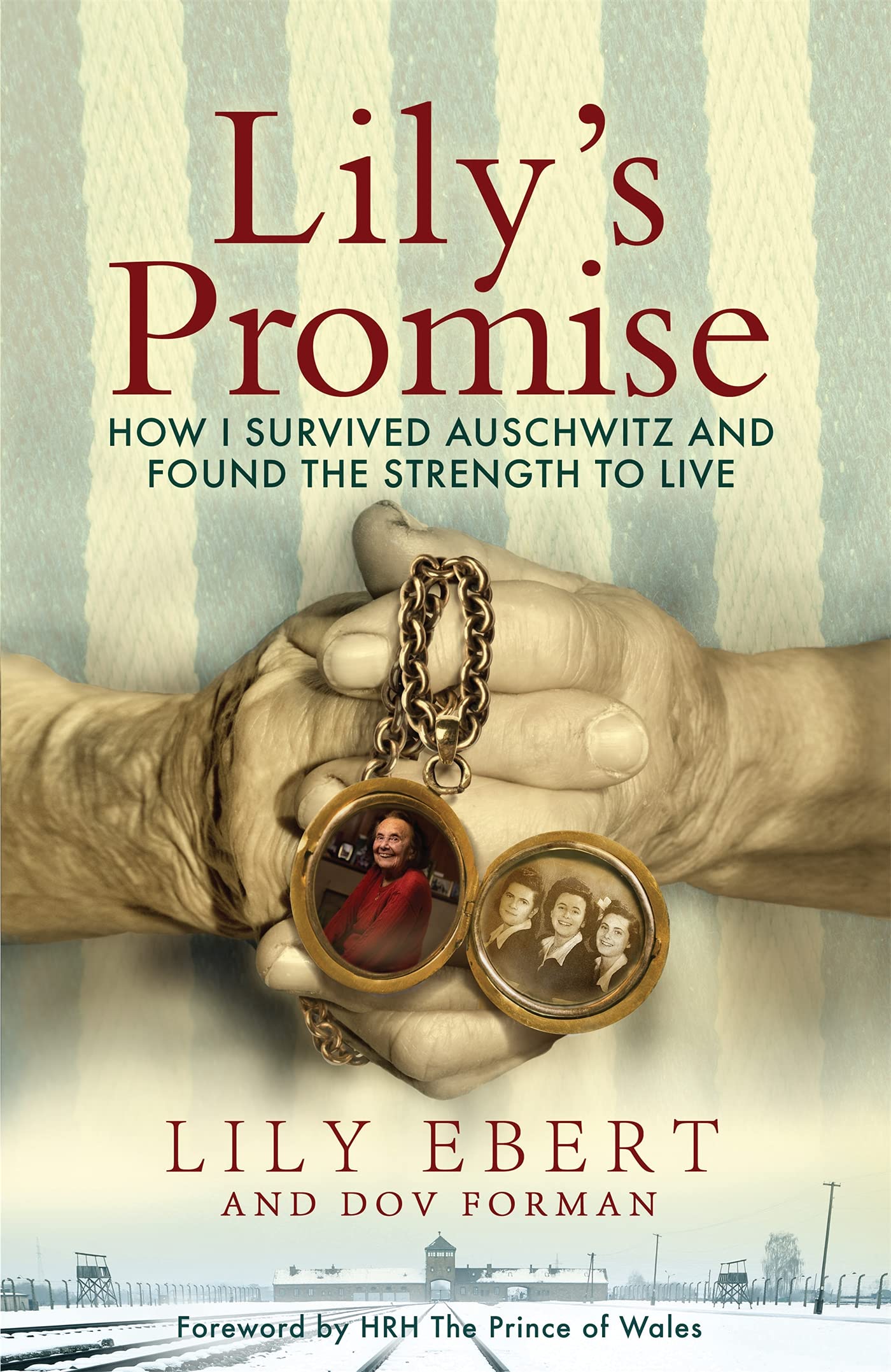 Lily's Promise Politics & Society Books