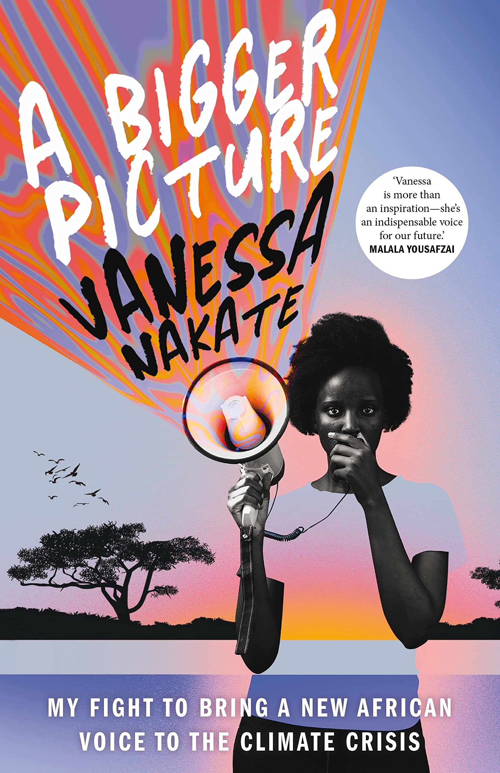 A Bigger Picture Books