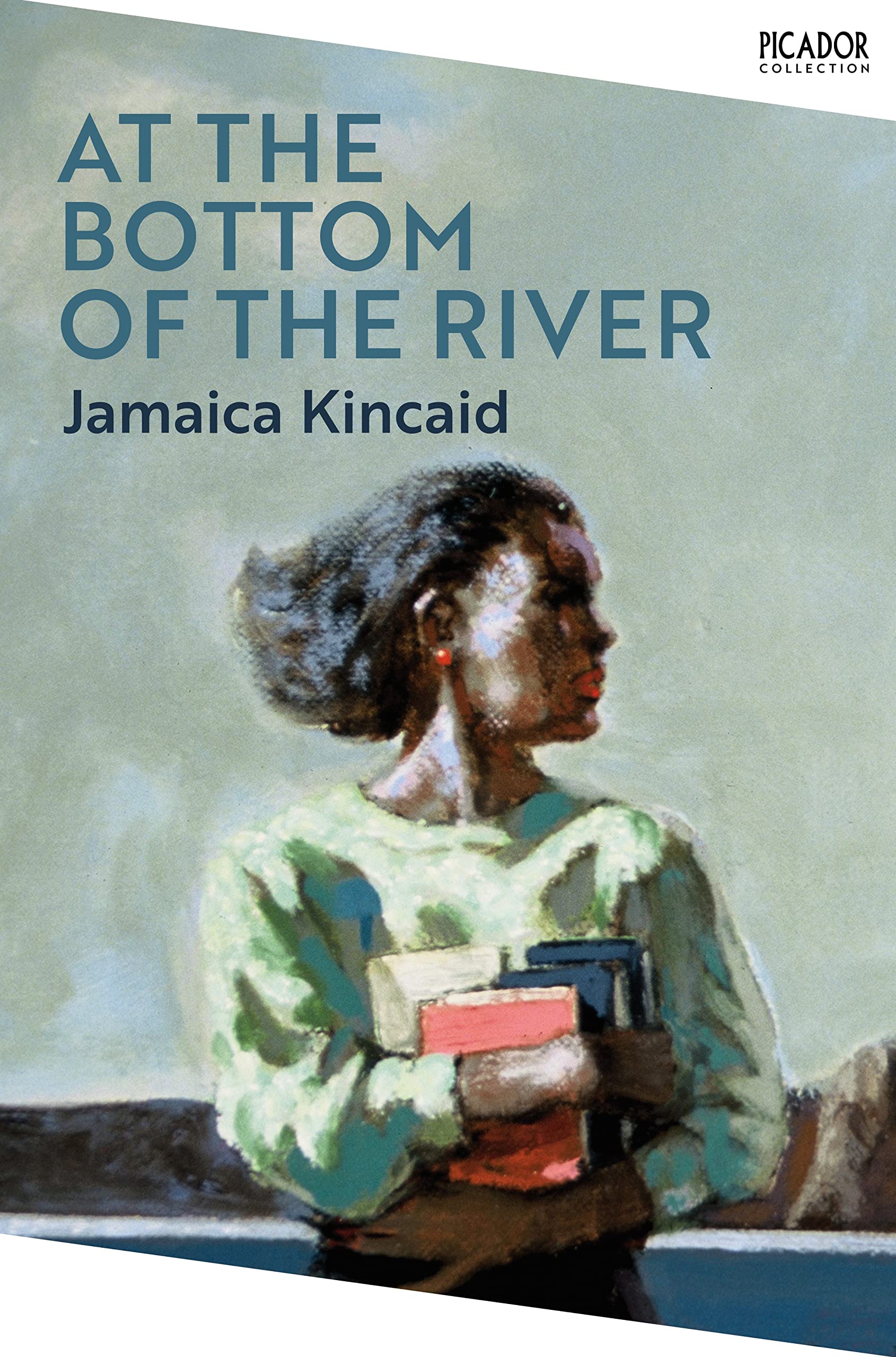 At the Bottom of the River book