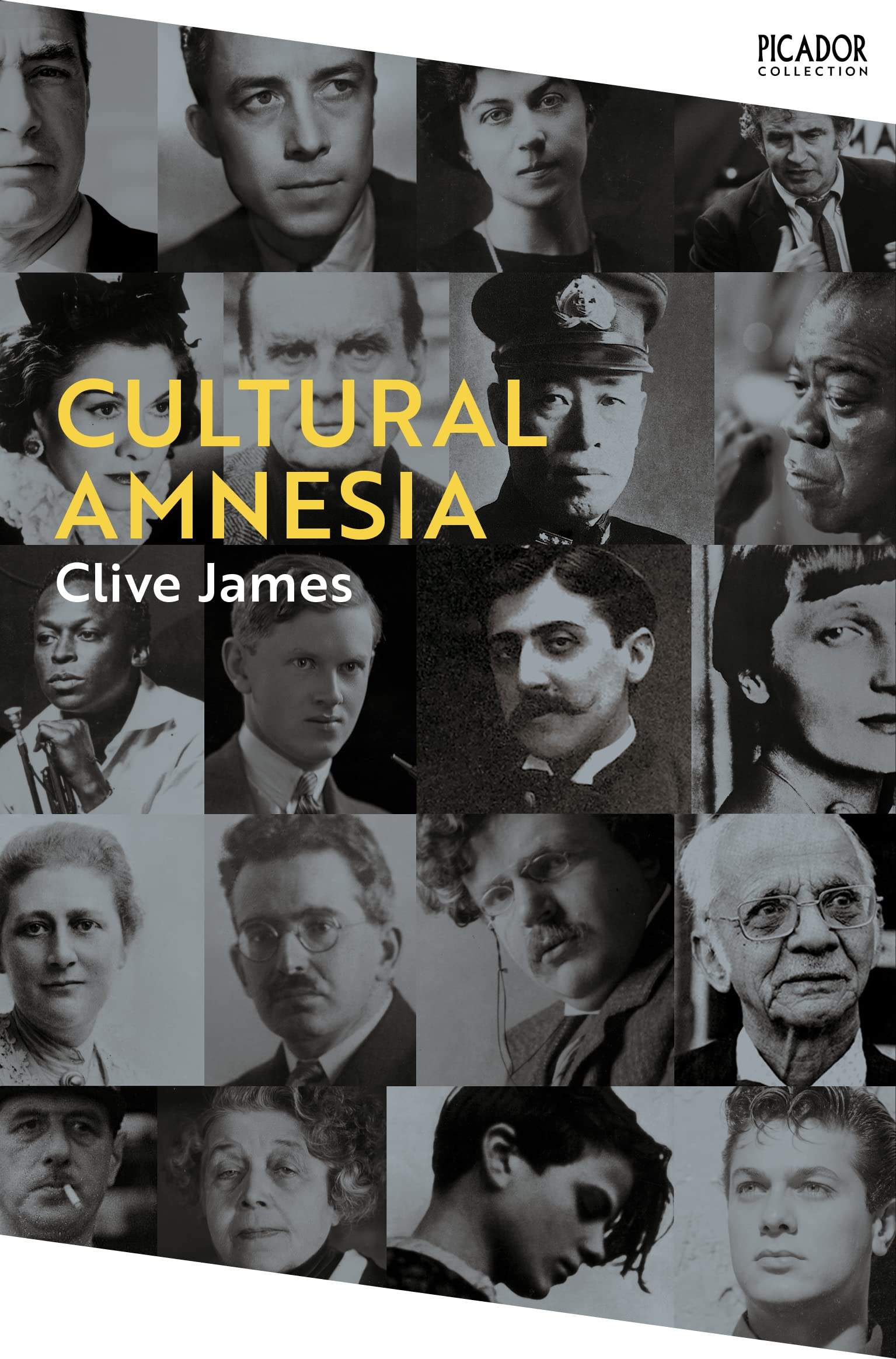 Cultural Amnesia General education Books