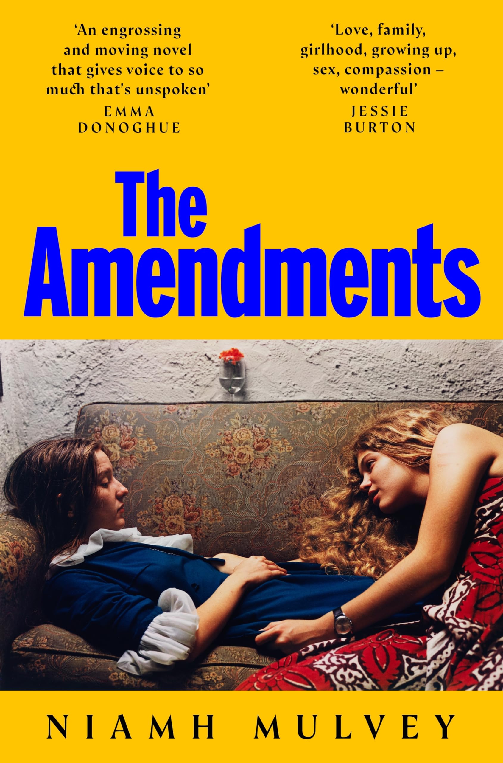 The Amendments: A beautiful, moving story about womanhood every book club needs to read Social Sciences