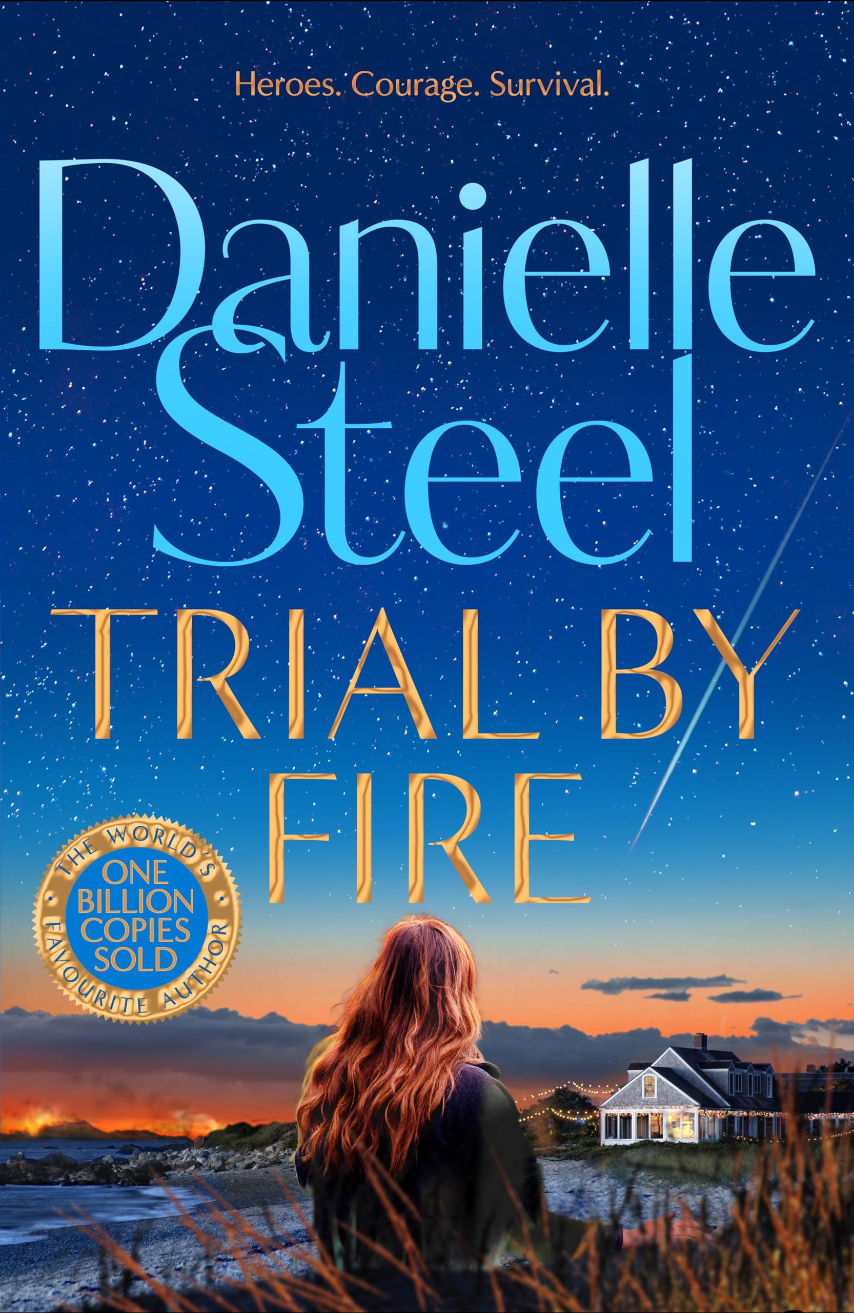Trial by Fire: A powerful, romantic story about finding the courage to love again Contemporary literature