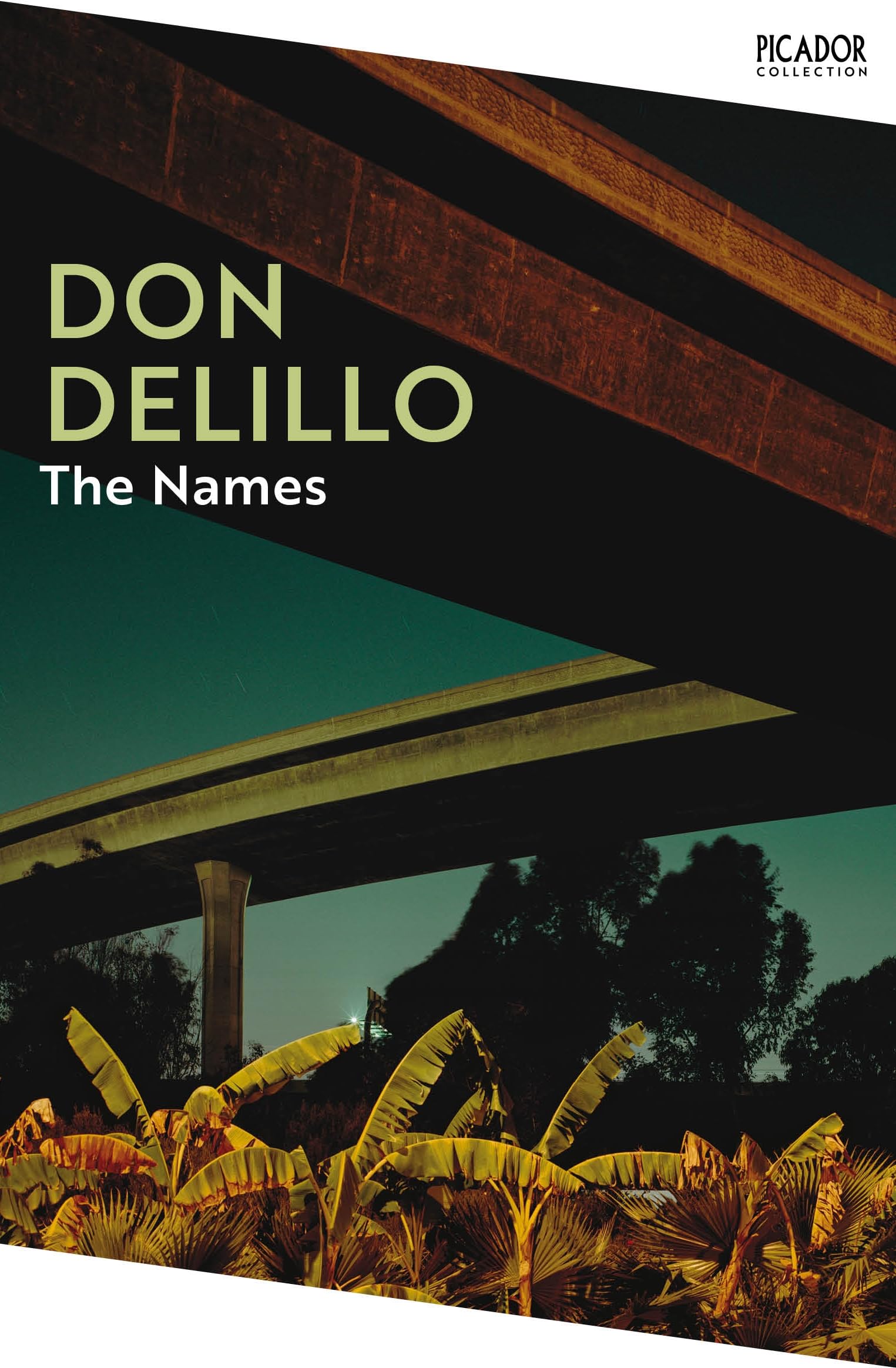 The Names Contemporary literature Books