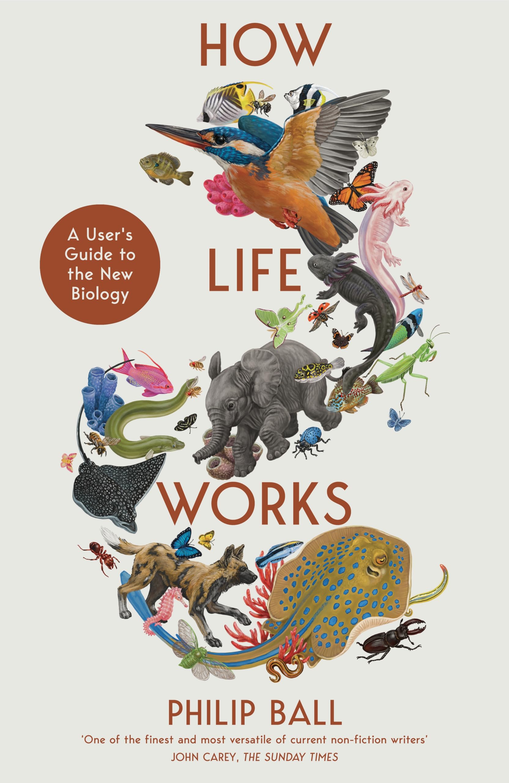 How Life Works Natural Sciences Books