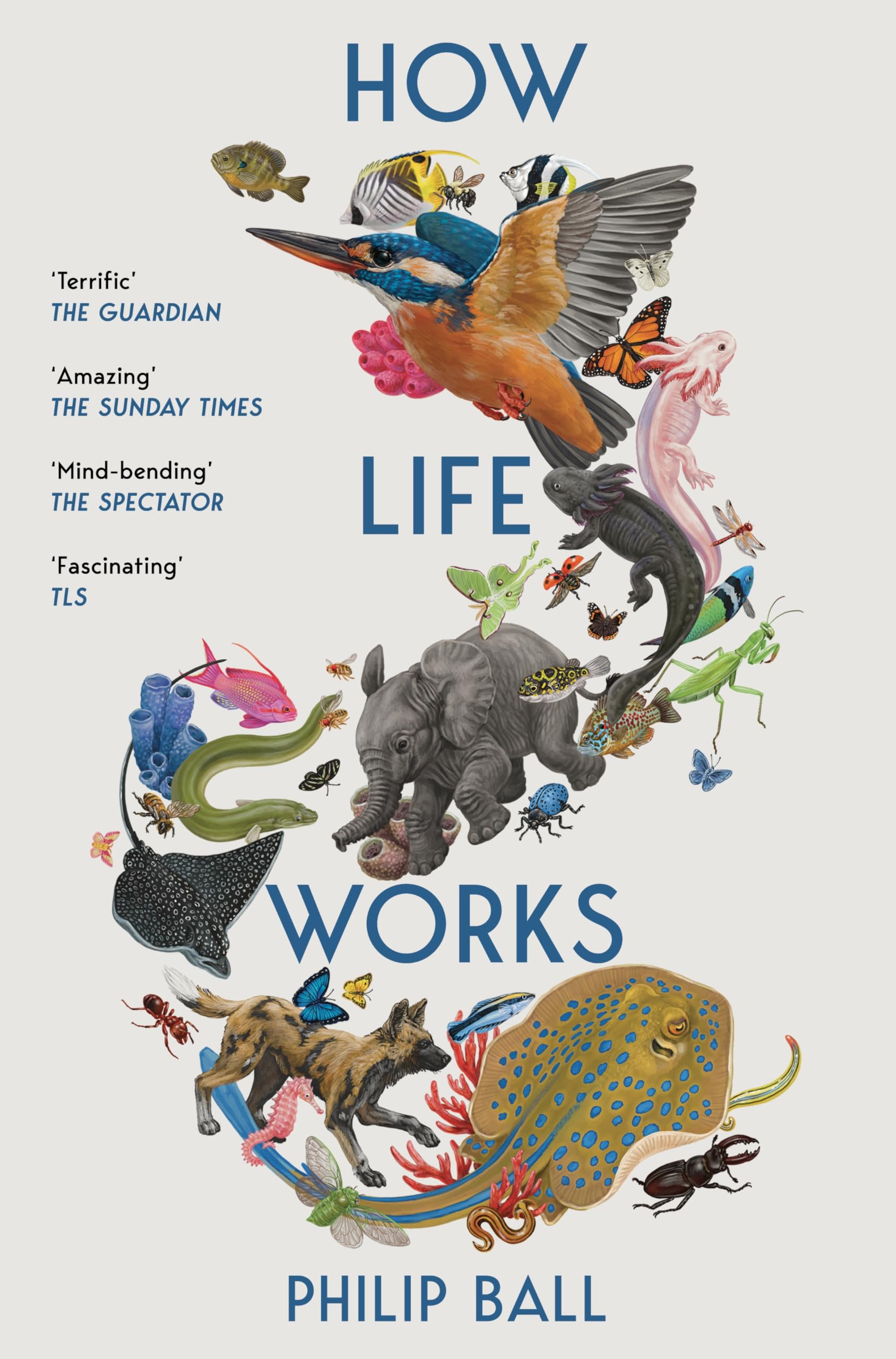 Product Image: How Life Works