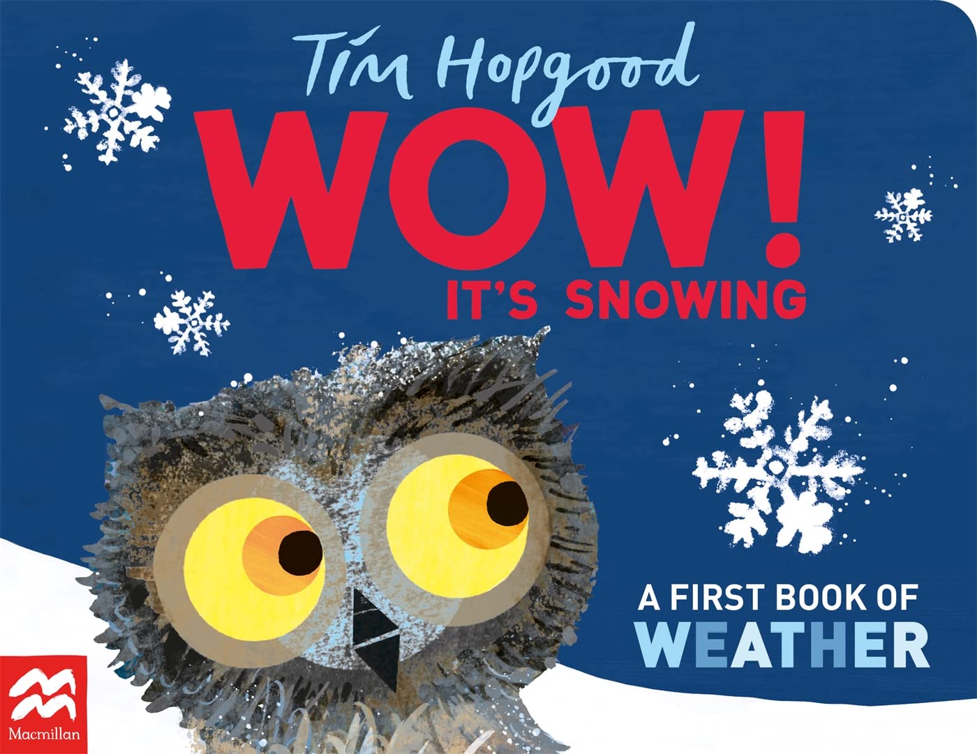 Wow! It's Snowing: A First Book of Weather book