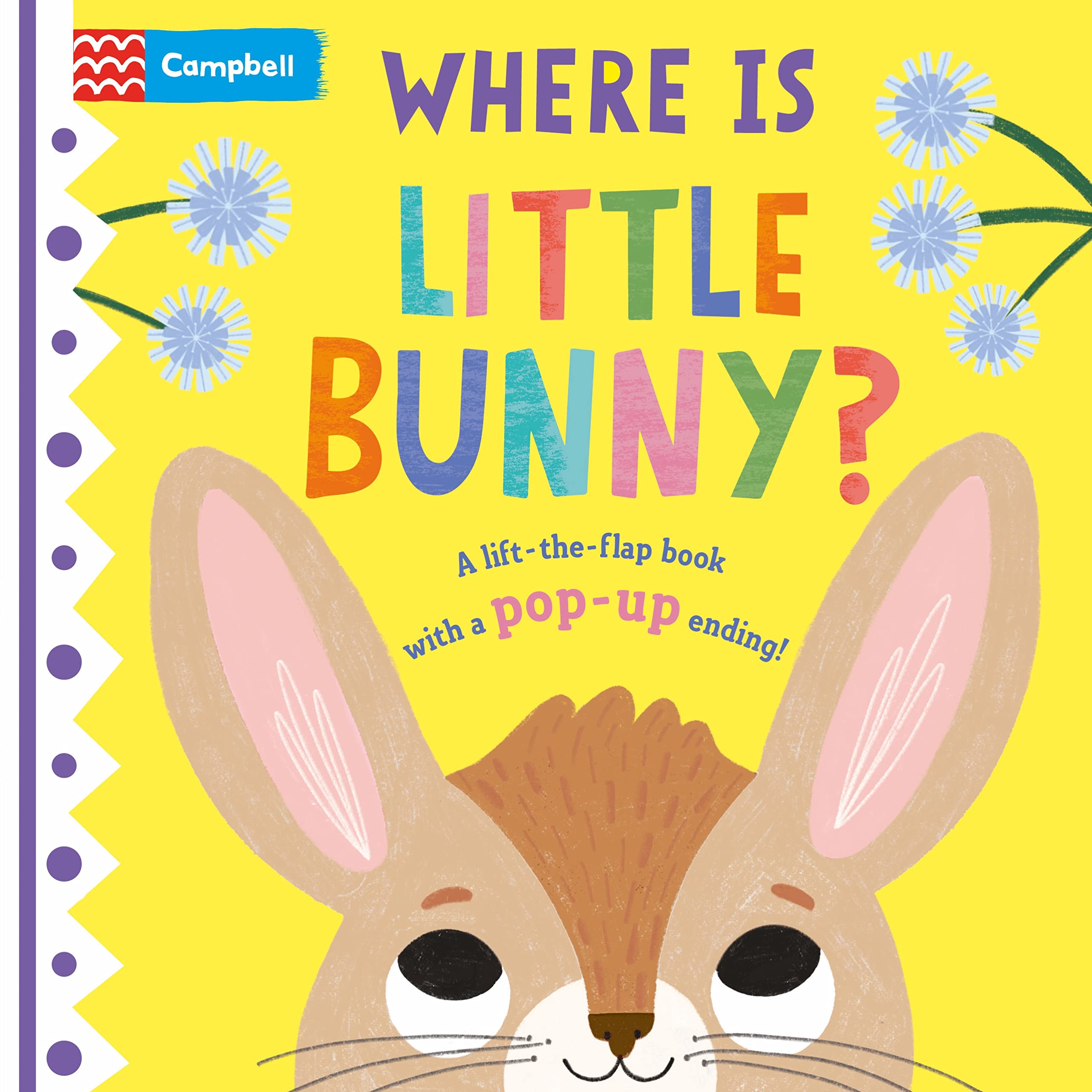 Where is Little Bunny?: The lift-the-flap book with a pop-up ending! (Where is Little..., 1) Non-fiction