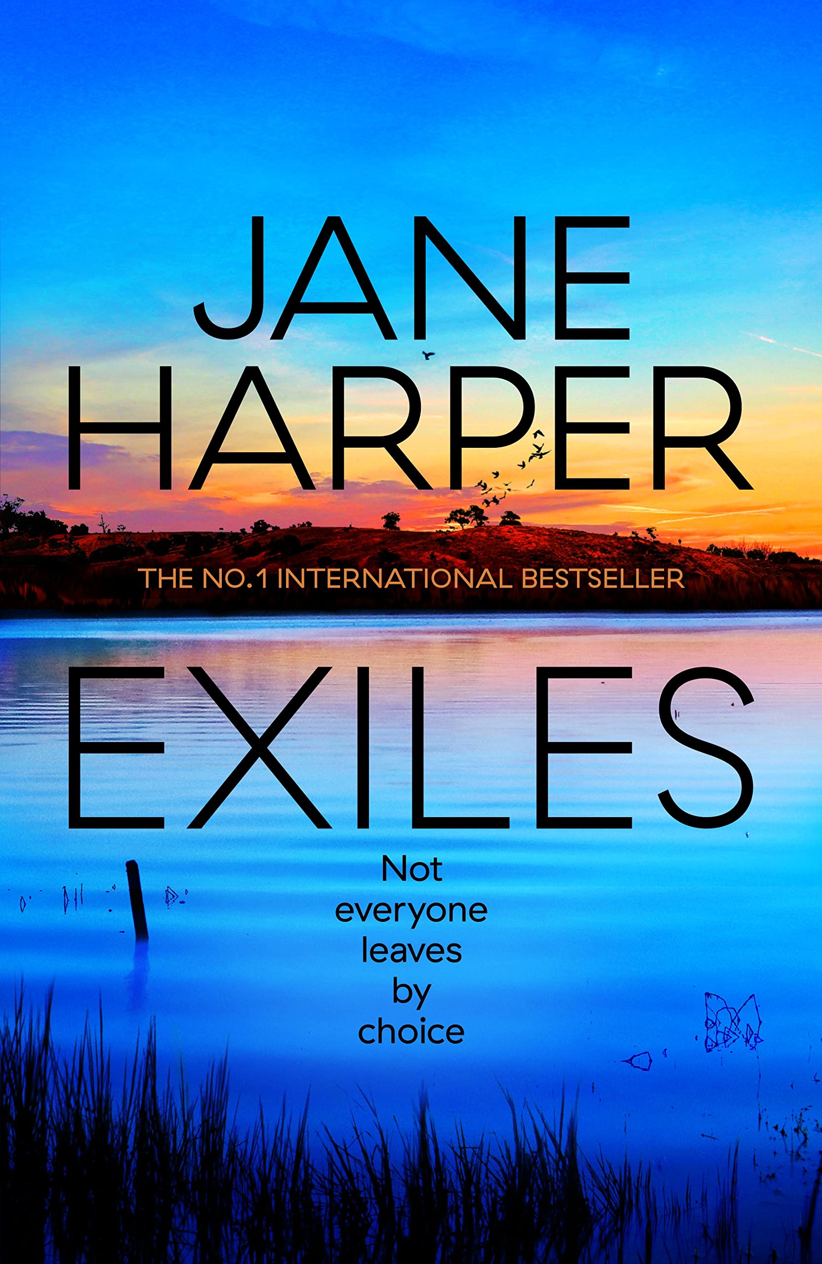 Exiles: Aaron Falk Contemporary literature Books