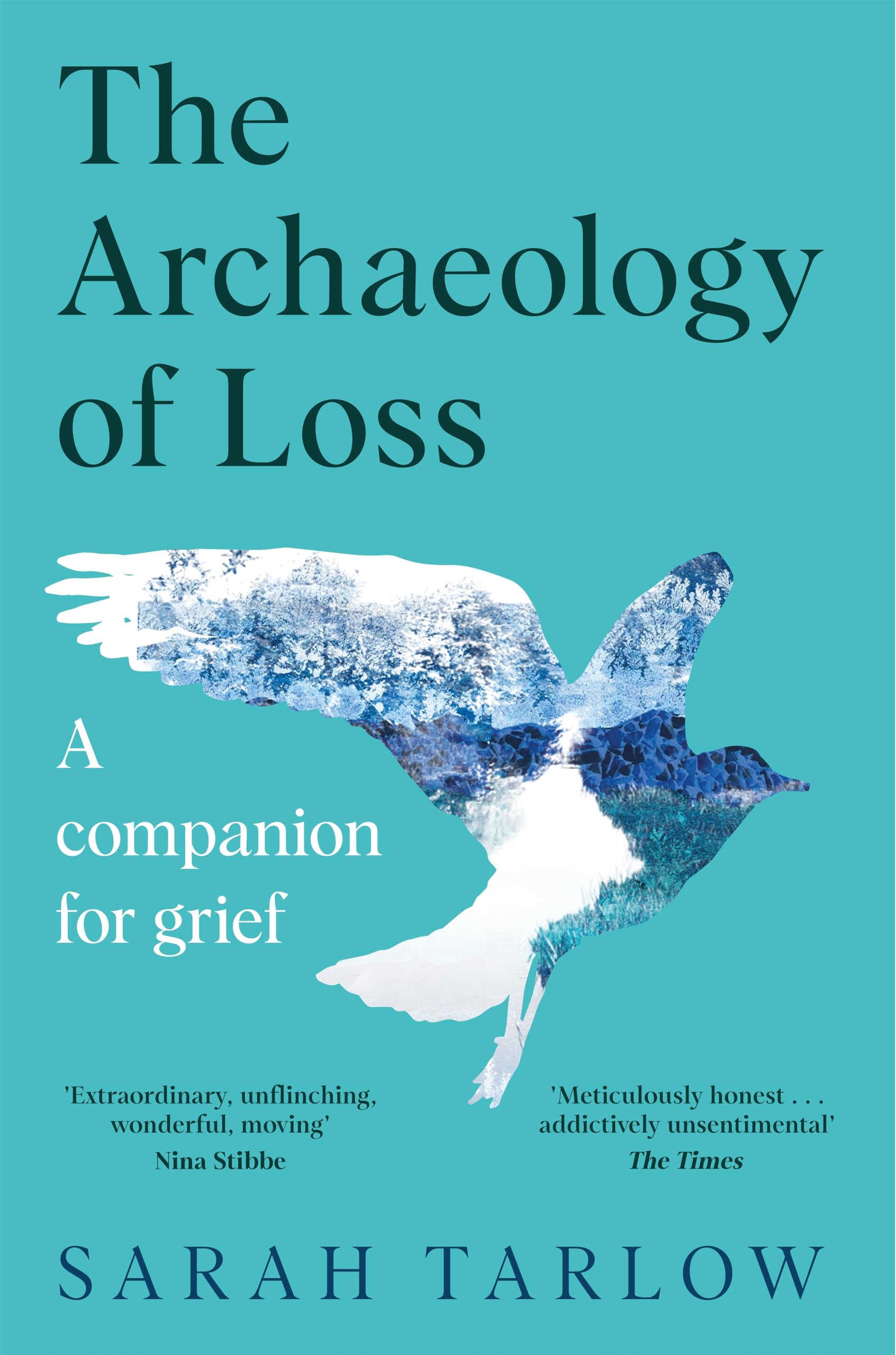 The Archaeology of Loss Social Sciences