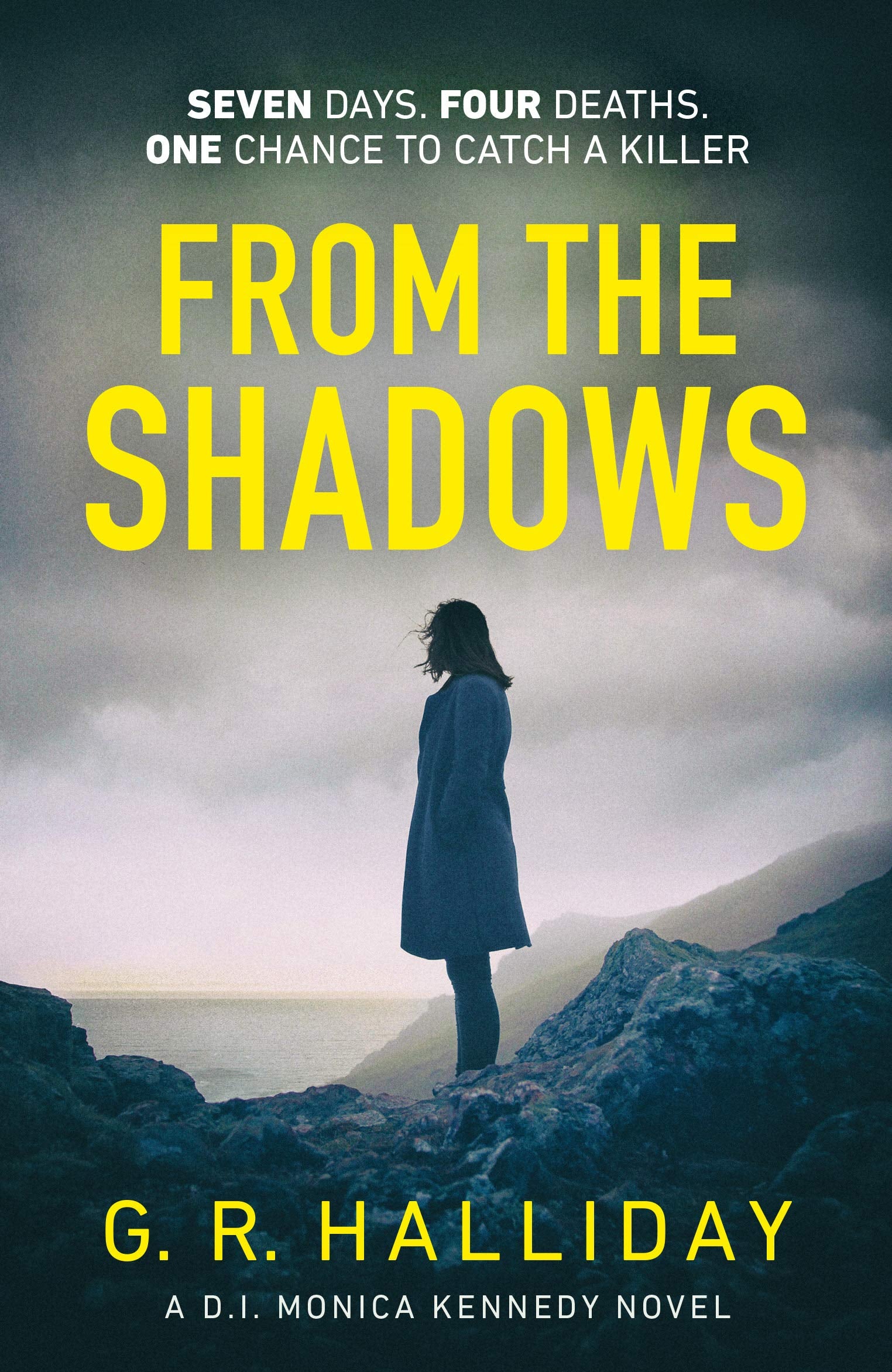 From the Shadows Contemporary literature Books