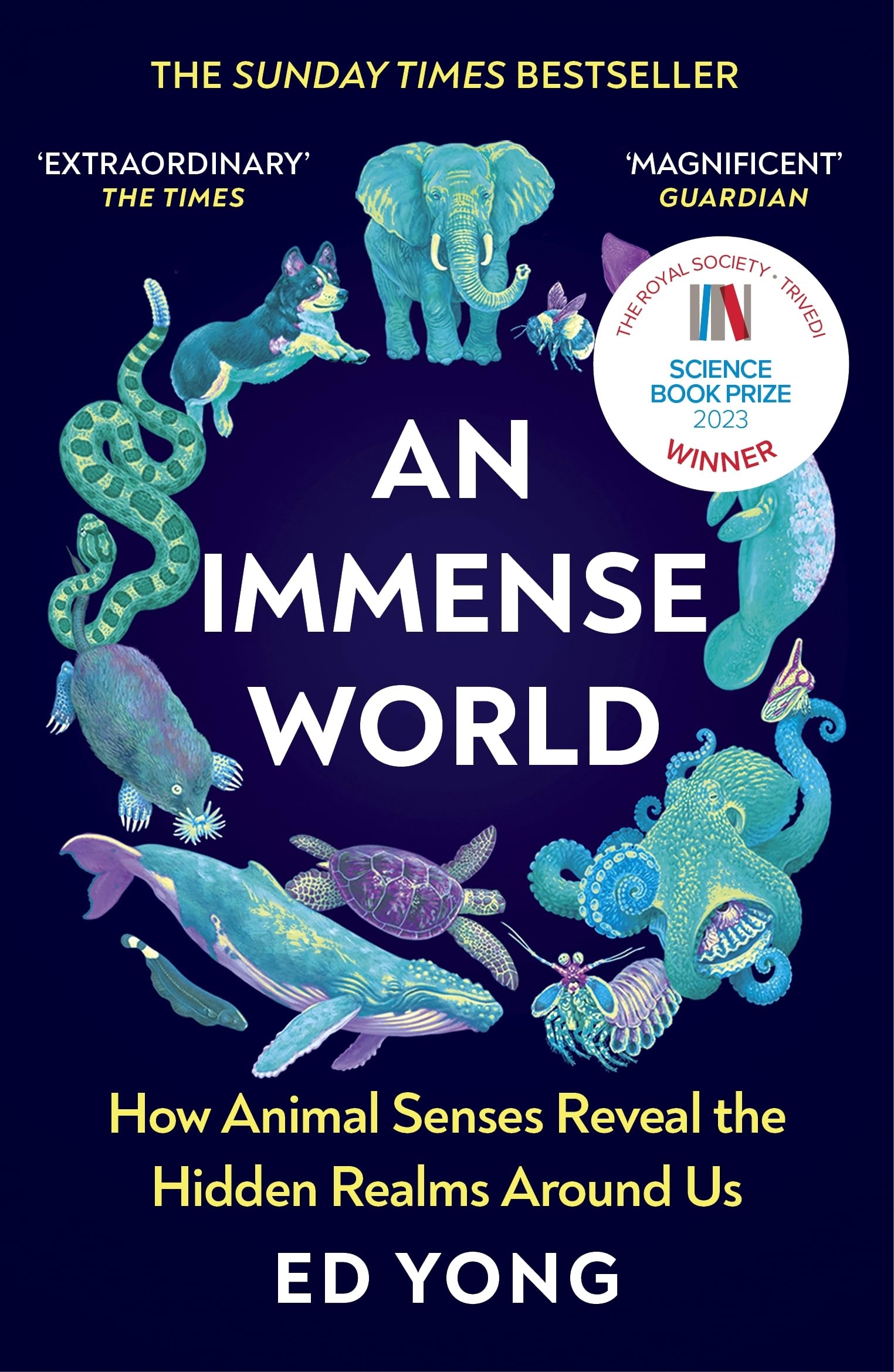 An Immense World Books