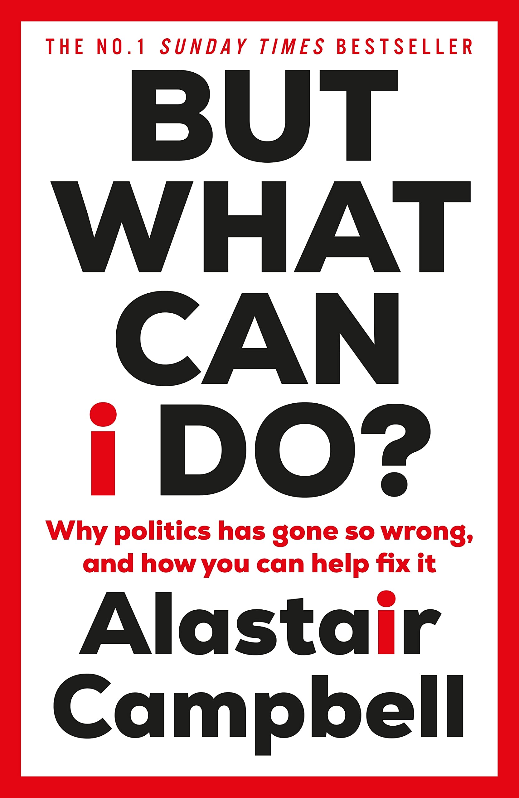 But What Can I Do?: Why Politics Has Gone So Wrong, and How You Can Help Fix It book