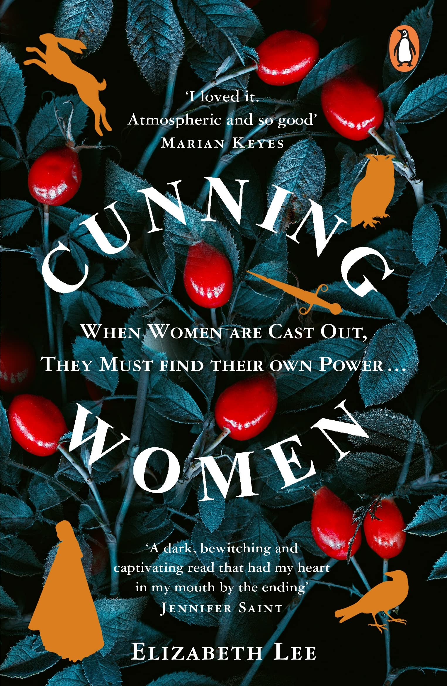 Cunning Women: A feminist tale of forbidden love after the witch trials Historical Fiction