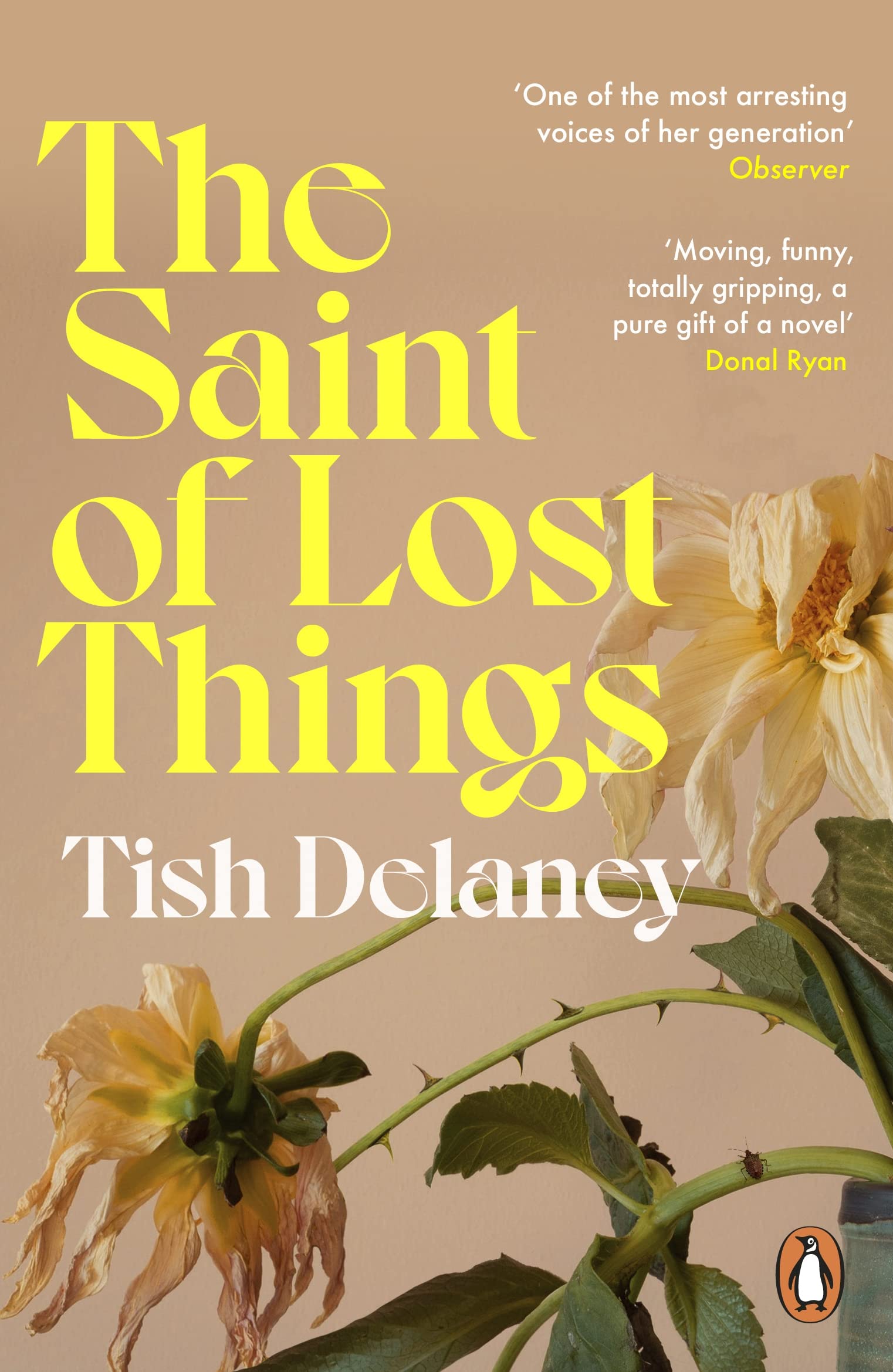 The Saint of Lost Things: A Guardian Summer Read book