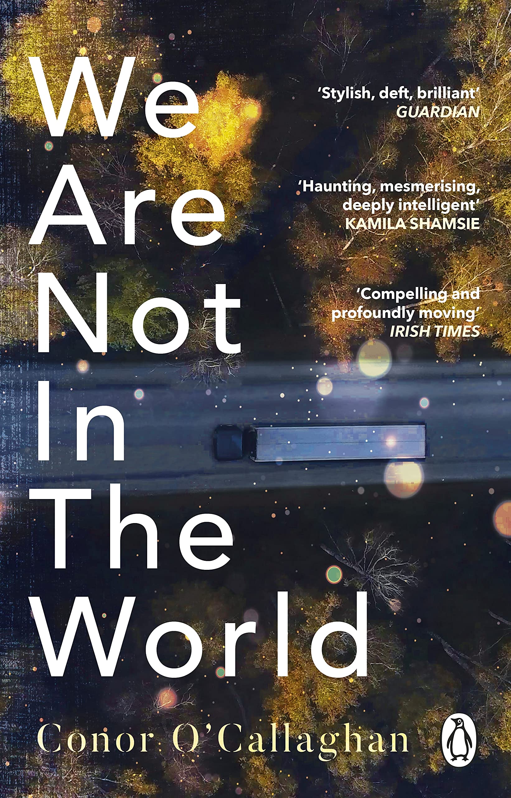 We Are Not in the World: ‘compelling and profoundly moving’ Irish Times book