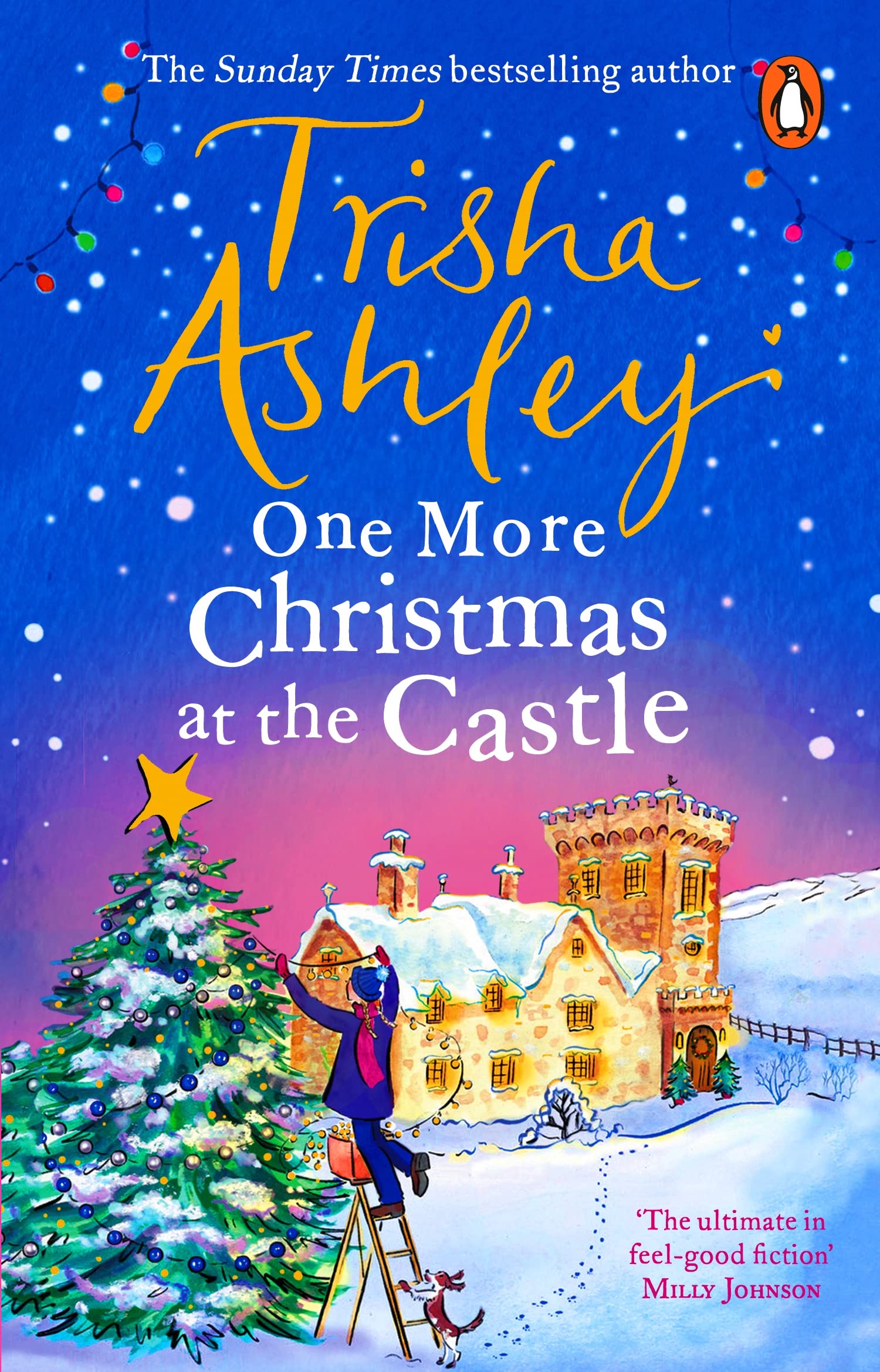 One More Christmas at the Castle Contemporary literature