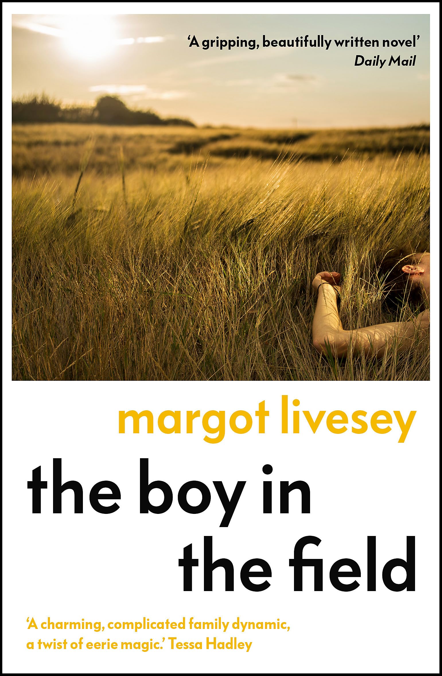 The Boy in the Field: 'A superb family drama' DAILY MAIL Contemporary literature