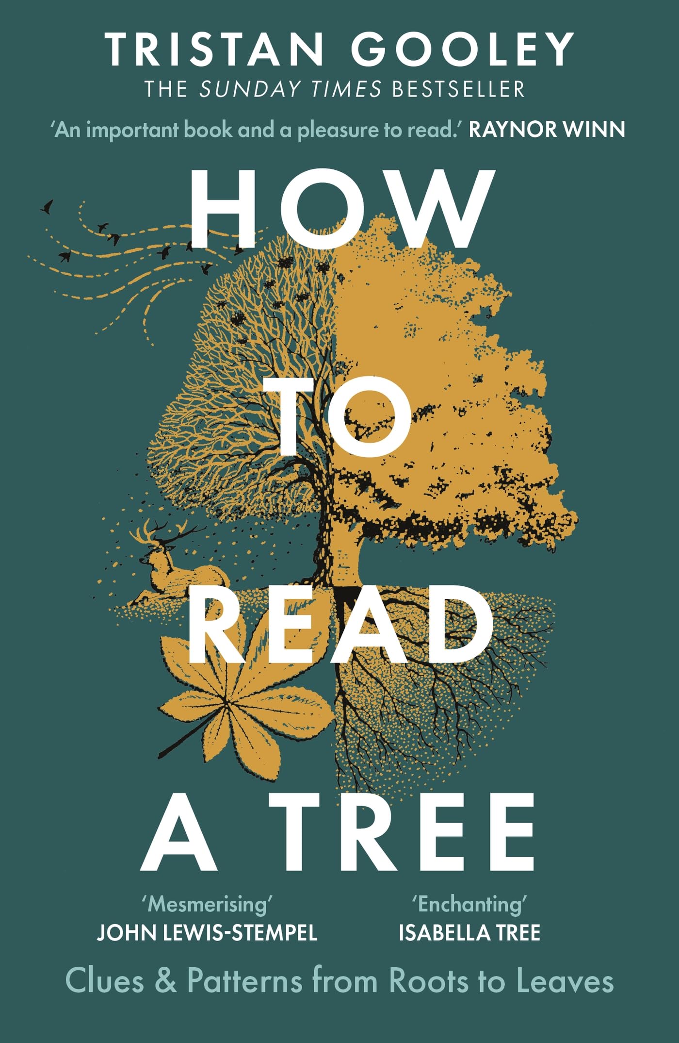 How to Read a Tree Mathematics Books