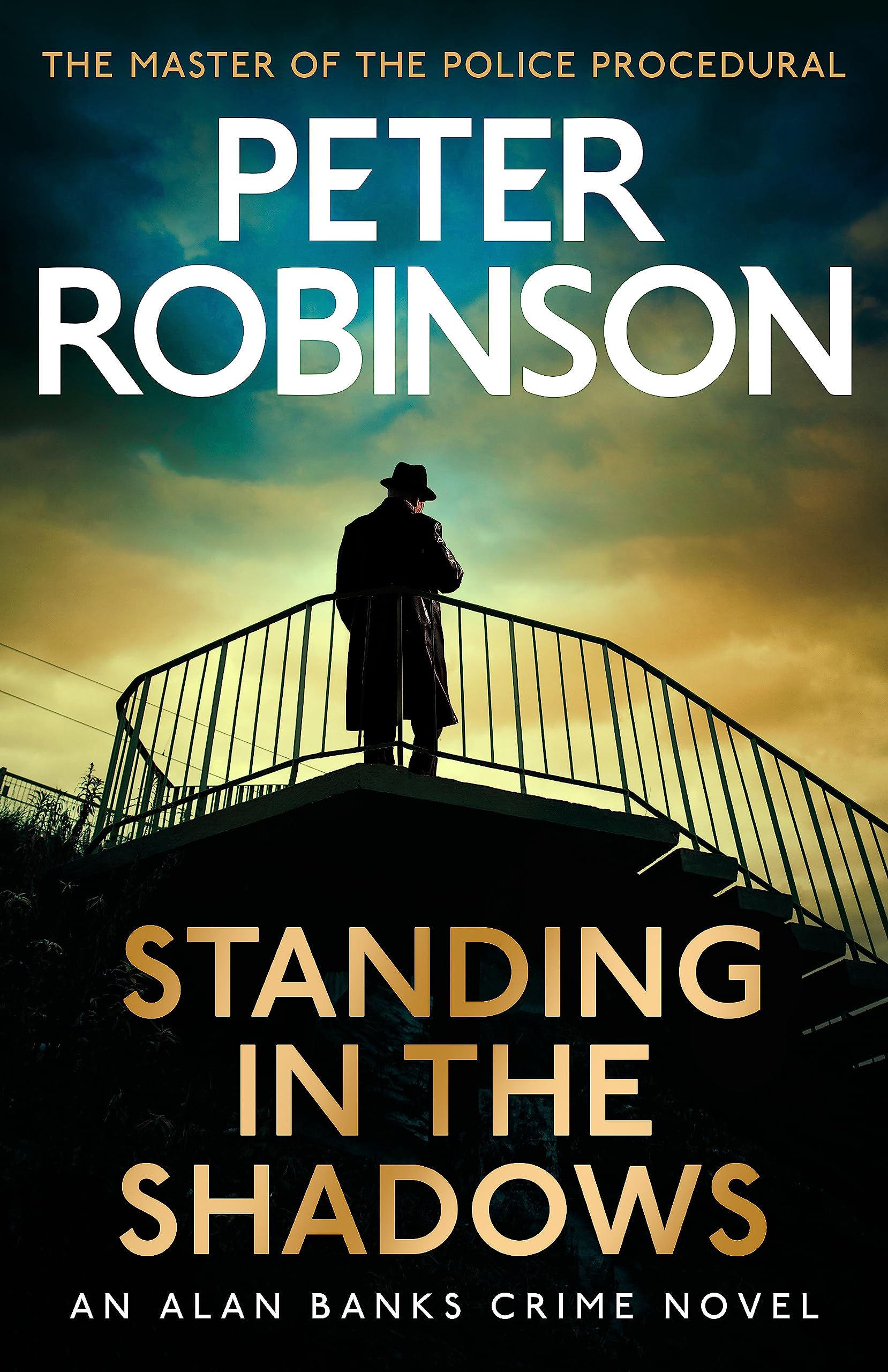 Standing in the Shadows Contemporary literature Books