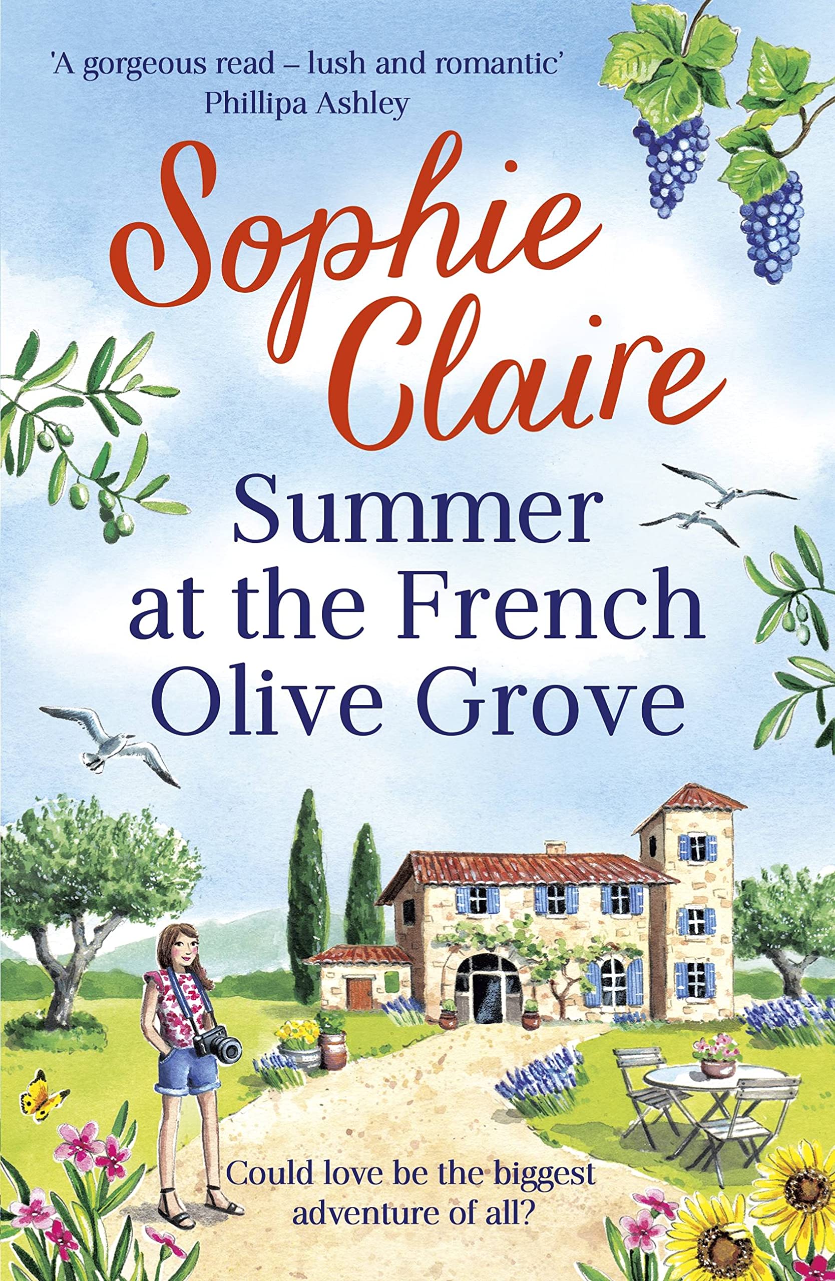 Summer at the French Olive Grove Contemporary literature
