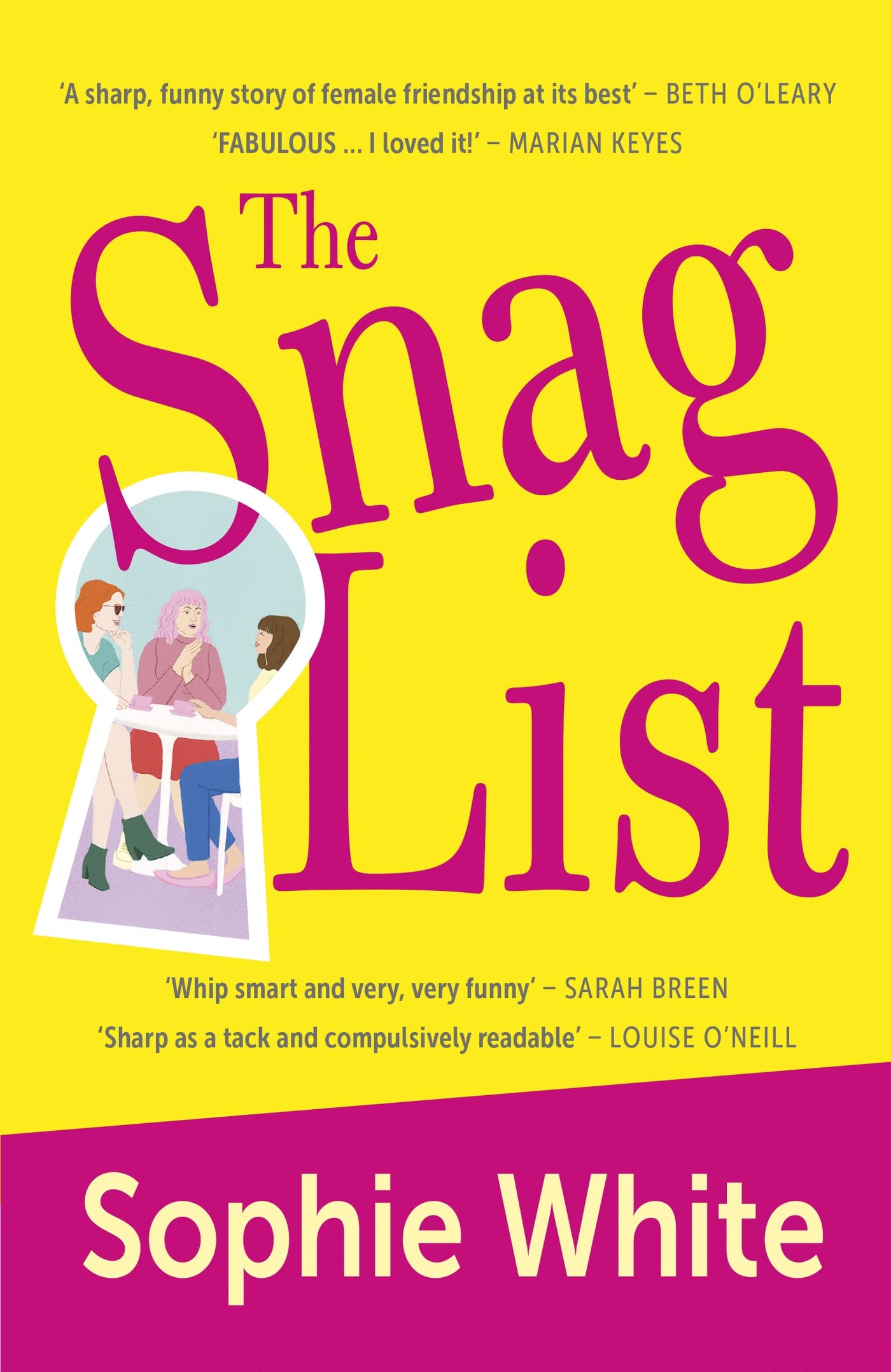 The Snag List Contemporary literature Books