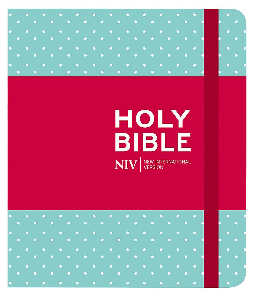 NIV Journalling Mint Polka Dot Cloth Bible Media & Communication
